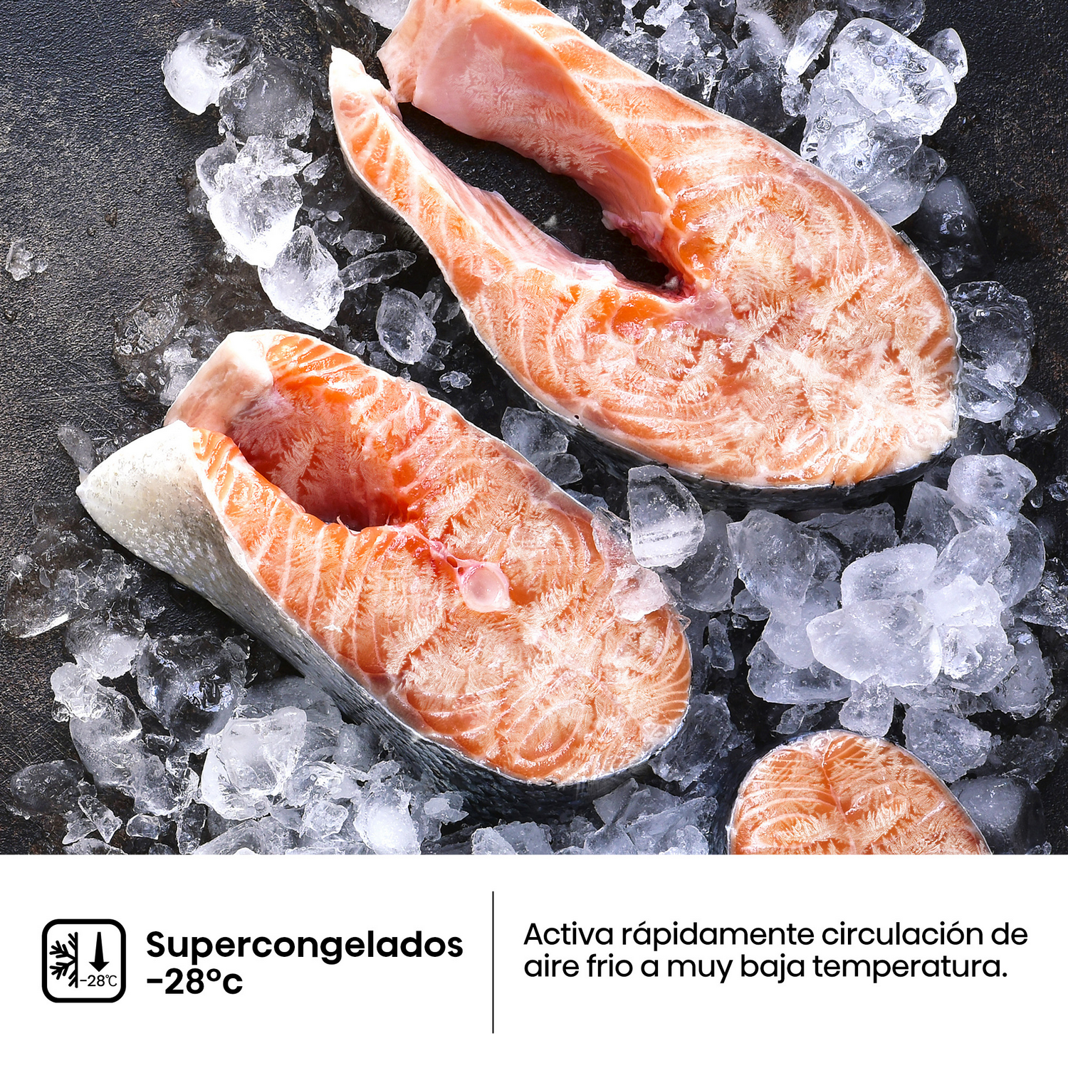 Filetes de salmón sobre hielo. El salmón es rosado con veteado blanco y el hielo es transparente.