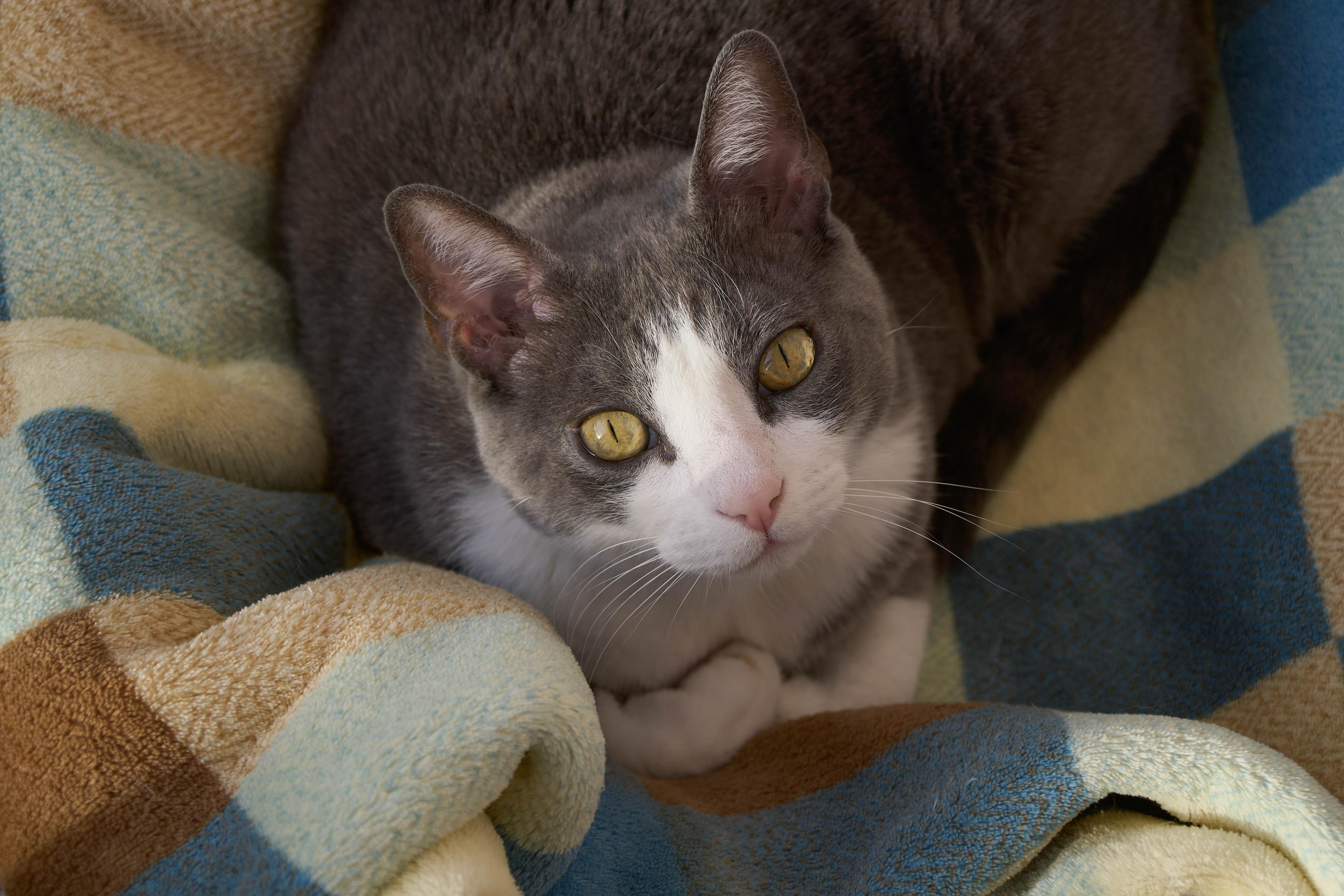 Ein langer, weißer, gerader Zylinder vor einem schwarzen Hintergrund.