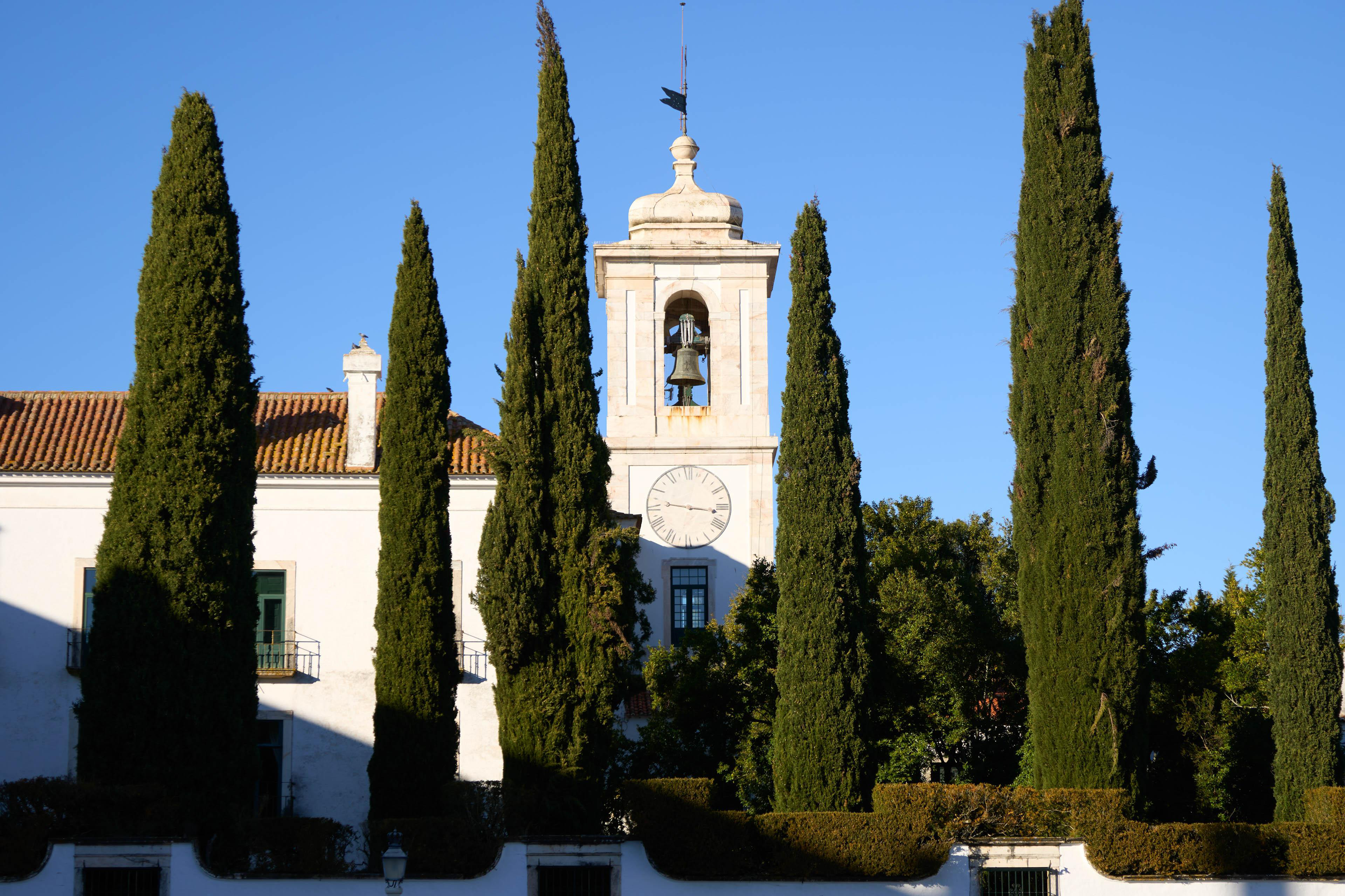 Ein weißes Gebäude mit Glockenturm wird von hohen, grünen Bäumen unter blauem Himmel umrahmt.