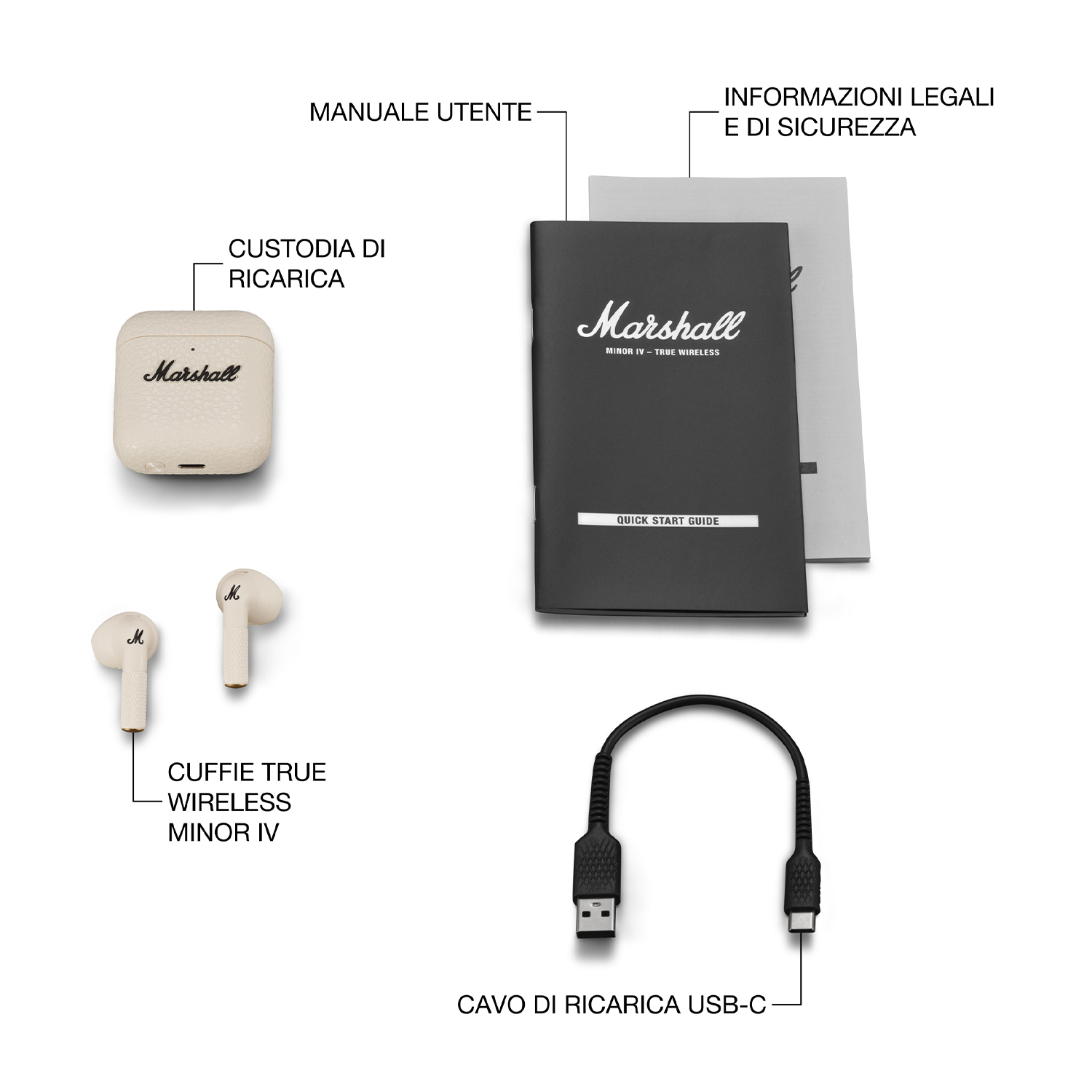 Auricolari, custodia di ricarica e cavo USB, con testo ed etichette per ogni componente.