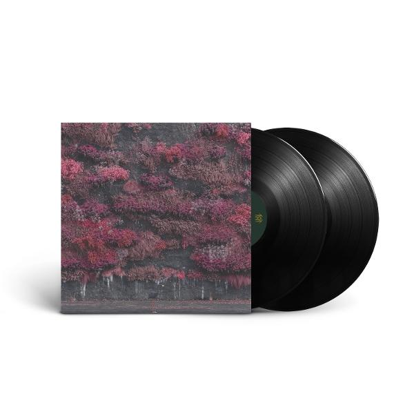 Vinyl-Schallplatten-Albumcover mit rosa Blättern und zwei schwarzen Schallplatten rechts.