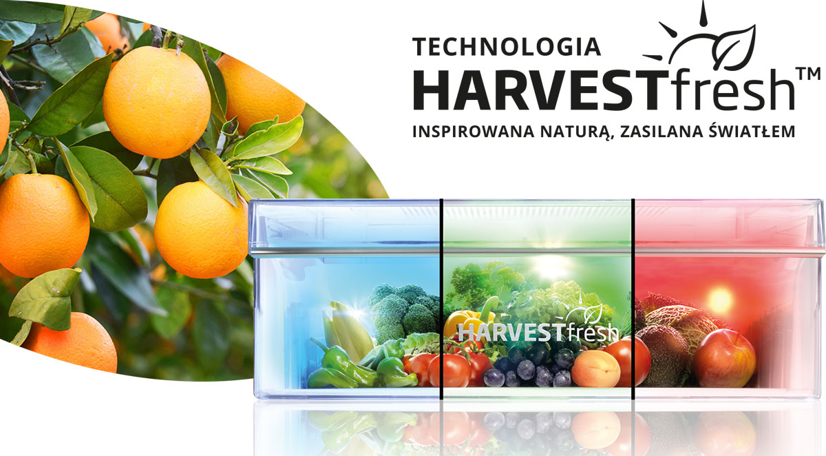 Pomarańcze na gałęziach, z lodówką pokazującą warzywa, owoce i tekst: HarvestFresh.