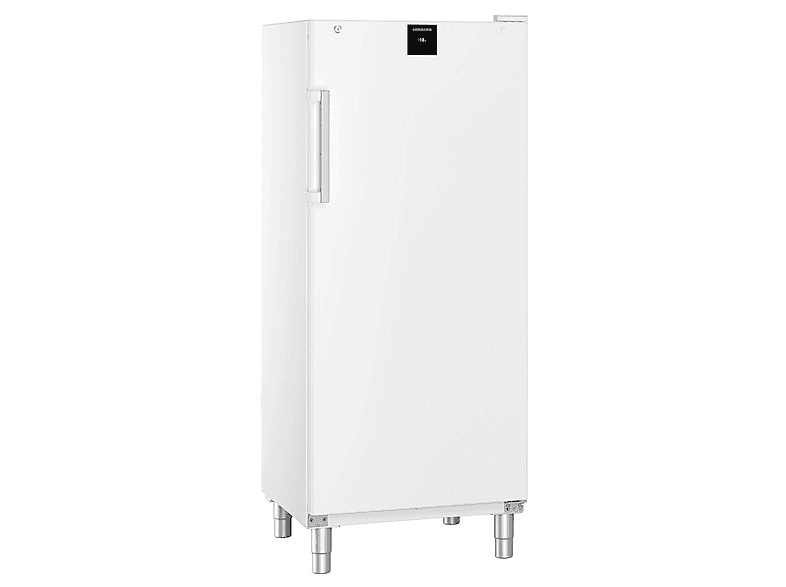 LIEBHERR - B2B FFFsg 5501-40 Gewerbe Gefrierschrank