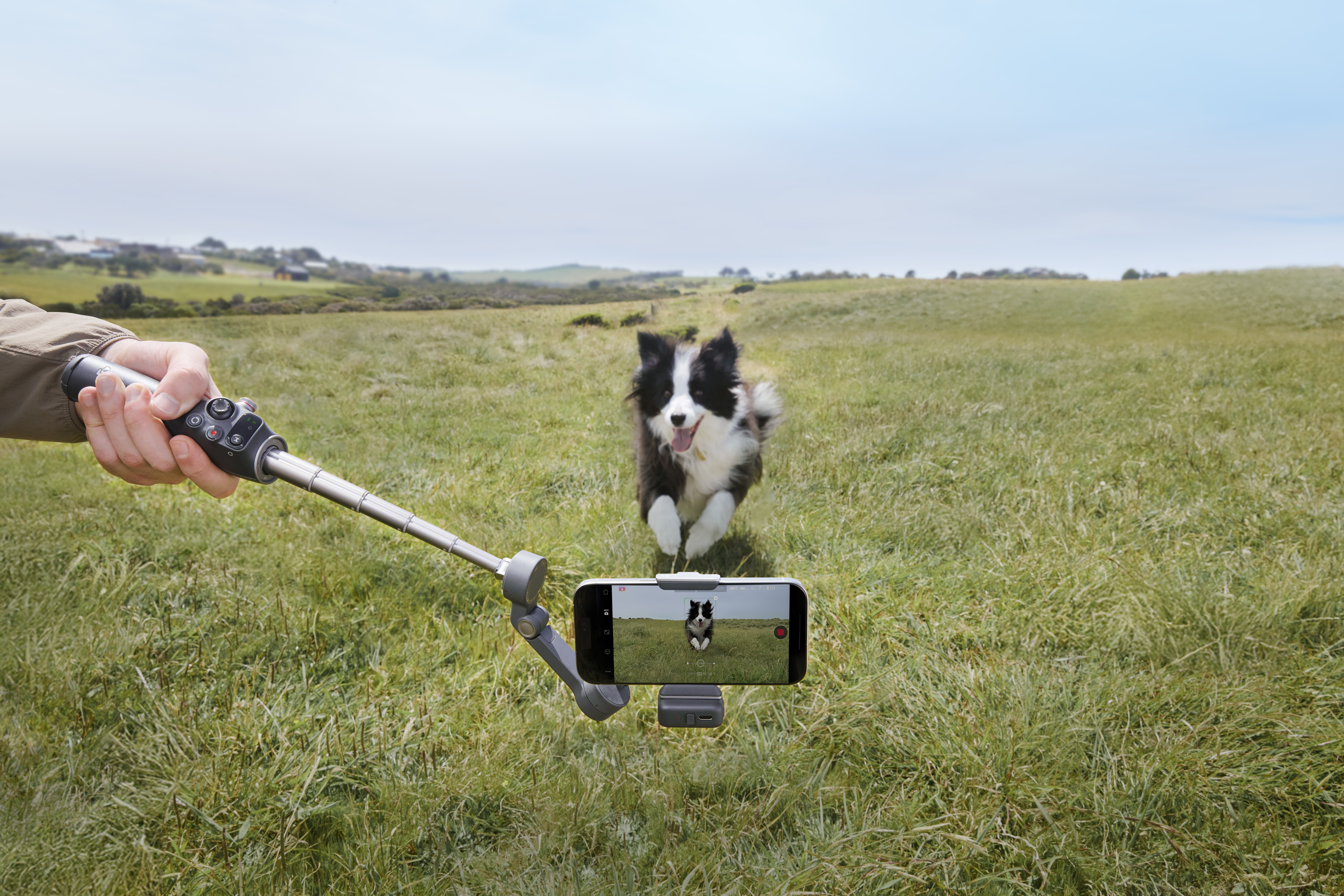Osoba trzymająca kij do selfie z telefonem nagrywającym psa biegnącego po trawie.