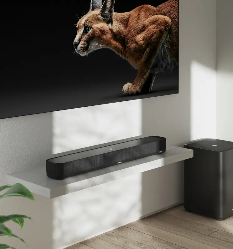 Barre de son sur une étagère avec TV et caisson de basses. Image de chat sur écran.