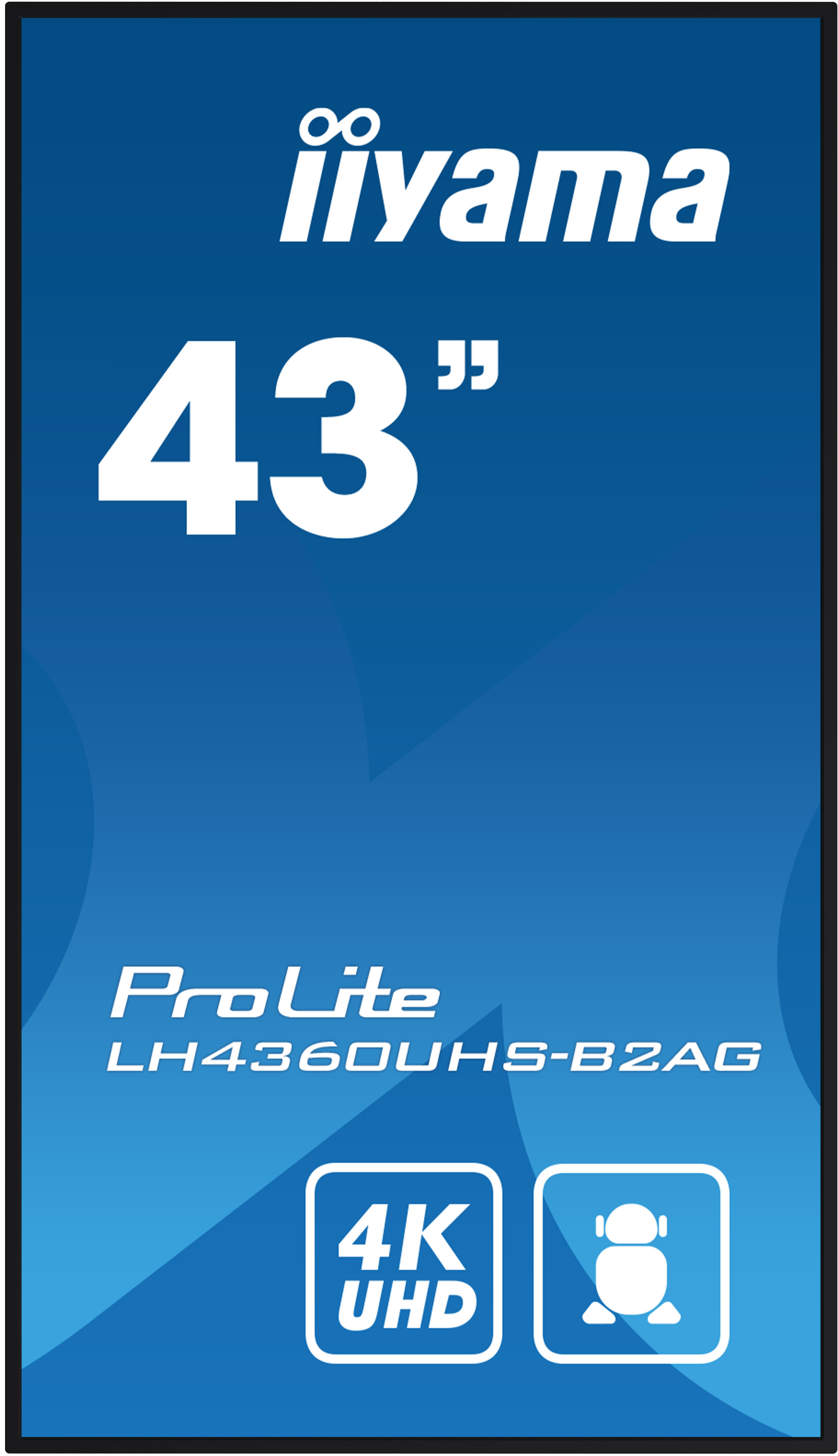 Anzeige mit blauem Hintergrund, 43 Zoll Größe, 4K UHD und ProLite-Markenname.