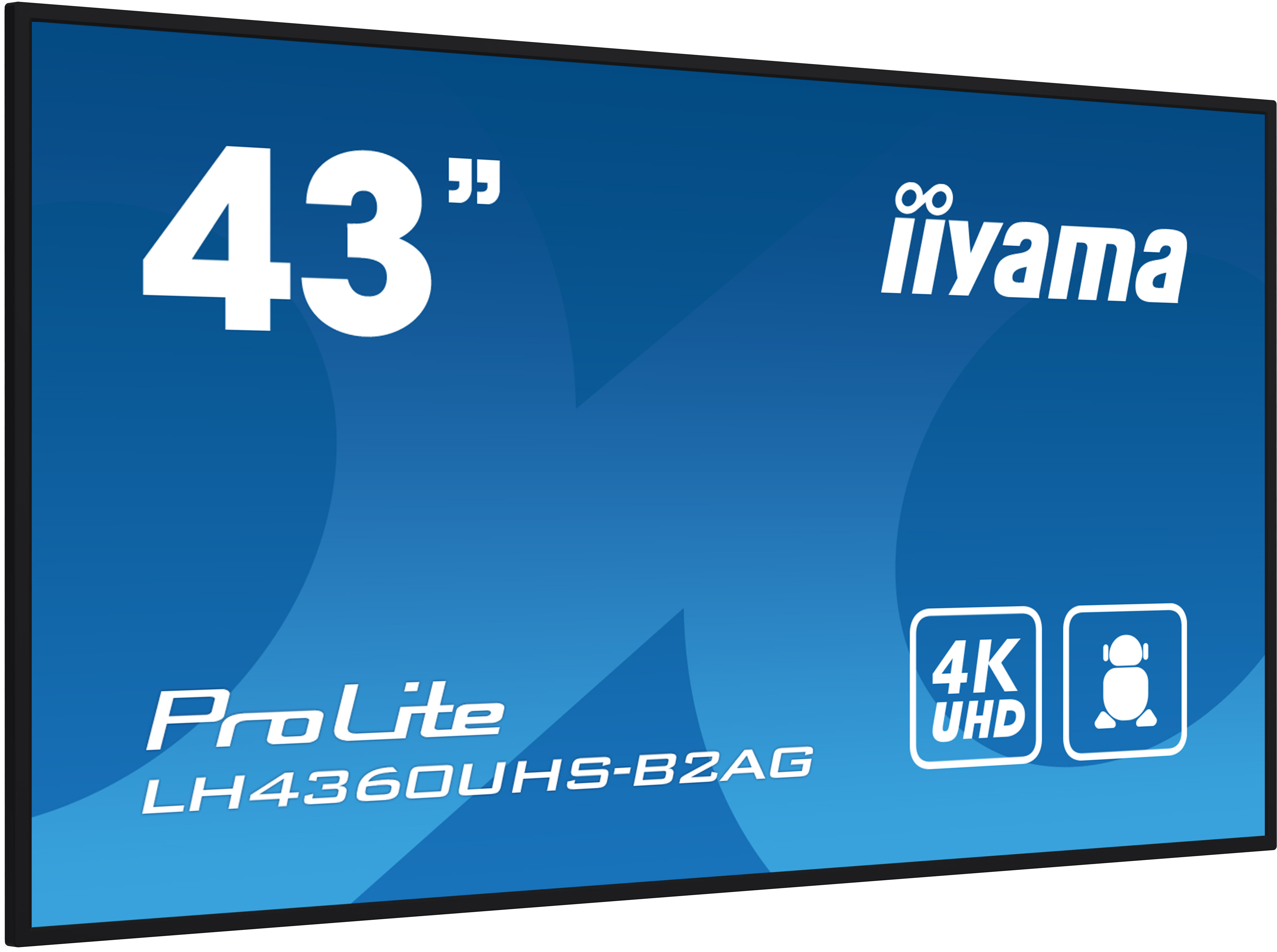 Ein 43-Zoll-Iiyama ProLite Monitor auf blauem Hintergrund. Es hat 4K UHD und andere Symbole.