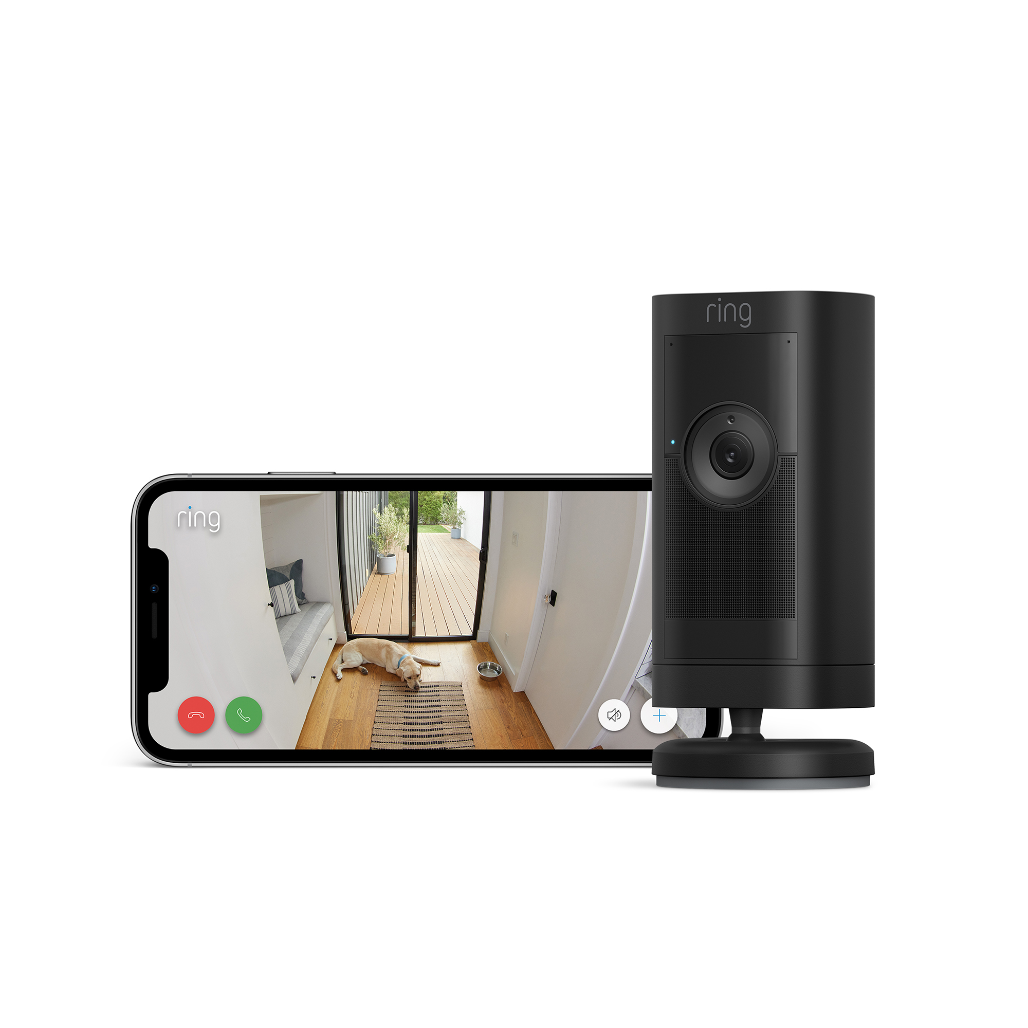 Ring-Überwachungskamera mit einem Telefon, das eine Live-Ansicht eines Hundes zeigt.