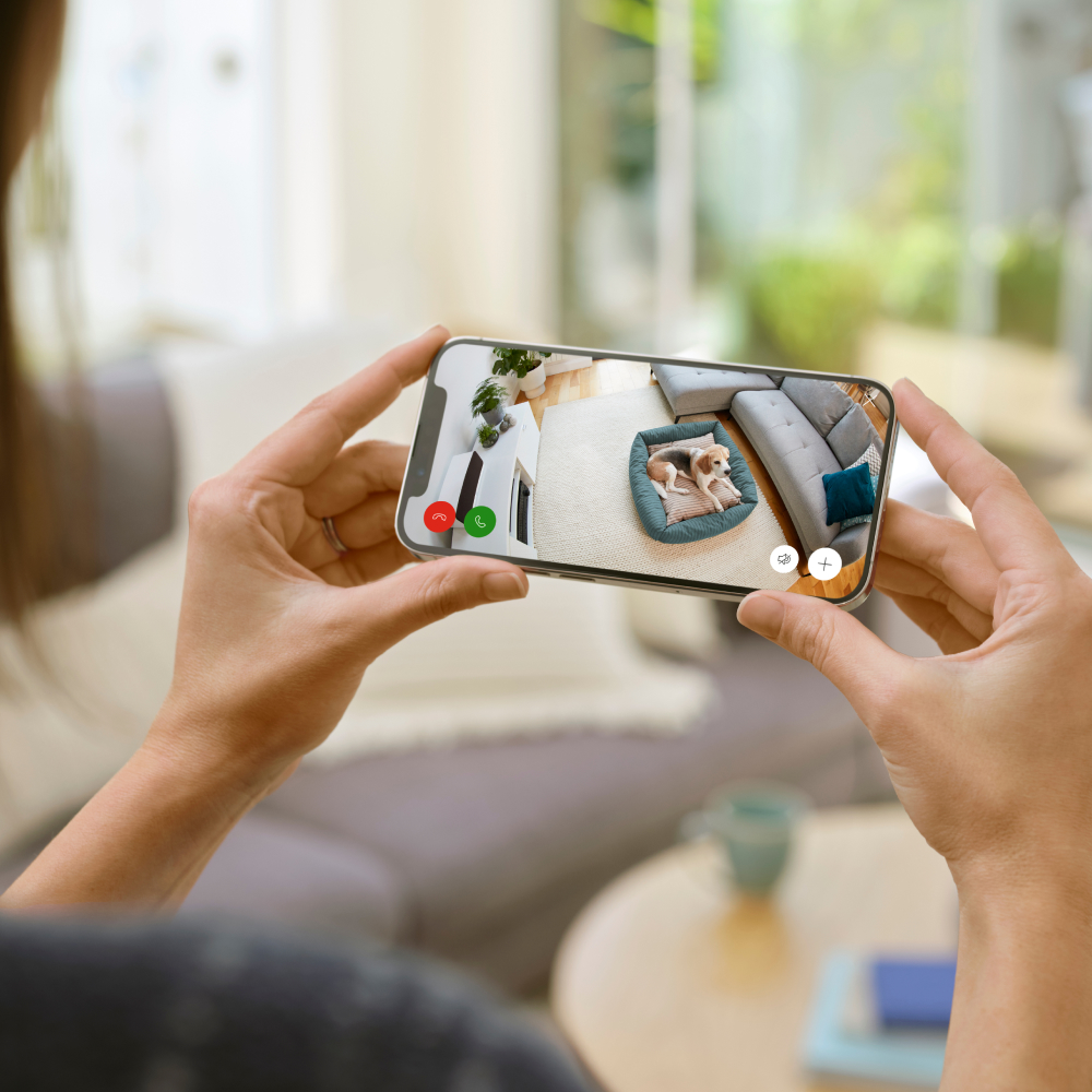 Eine Person hält ein Telefon, das einen Live-Video-Feed eines Hundes im Bett zeigt.