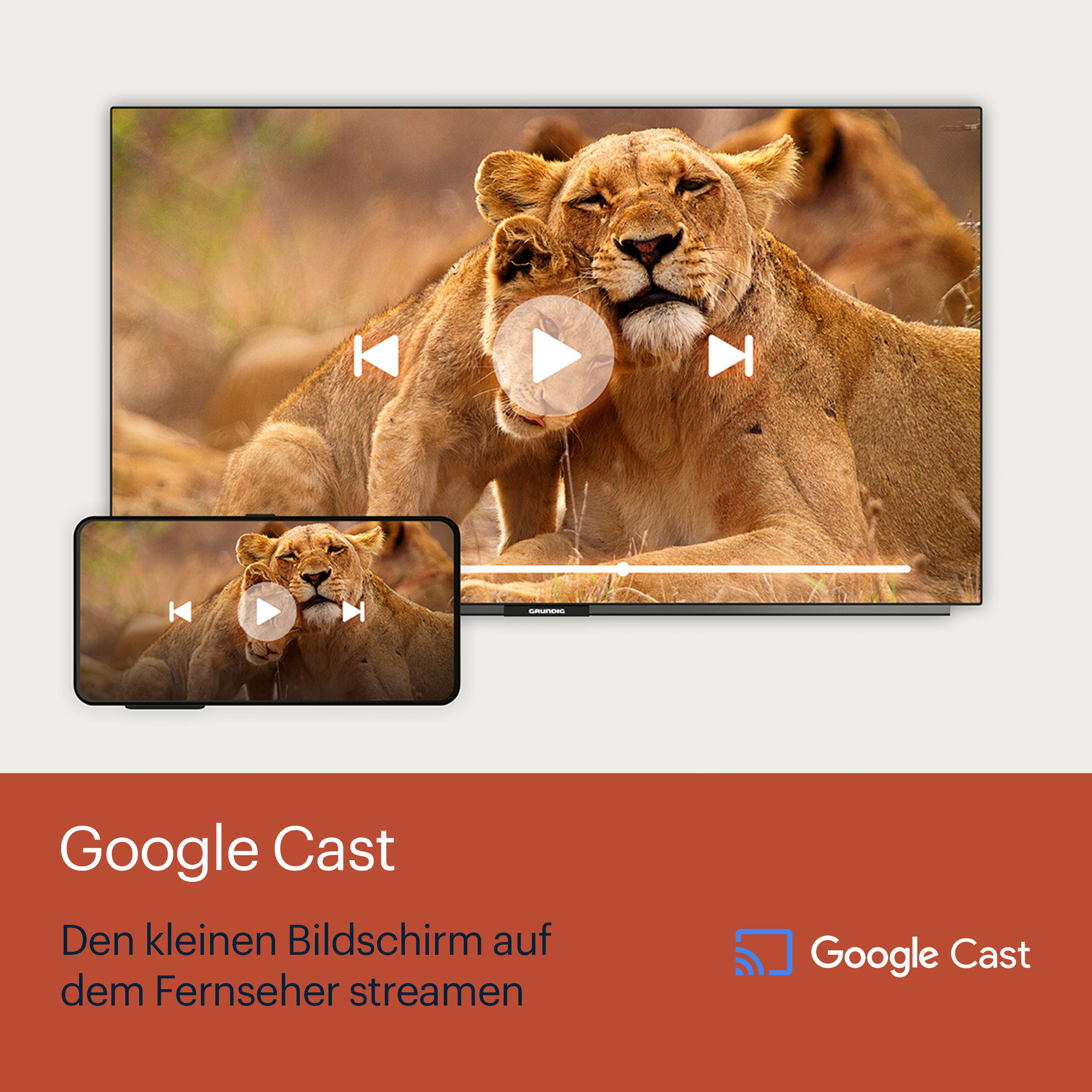 Zwei Löwen in einem Video auf einem Fernseher und einem Telefon, mit Google Cast-Logo.