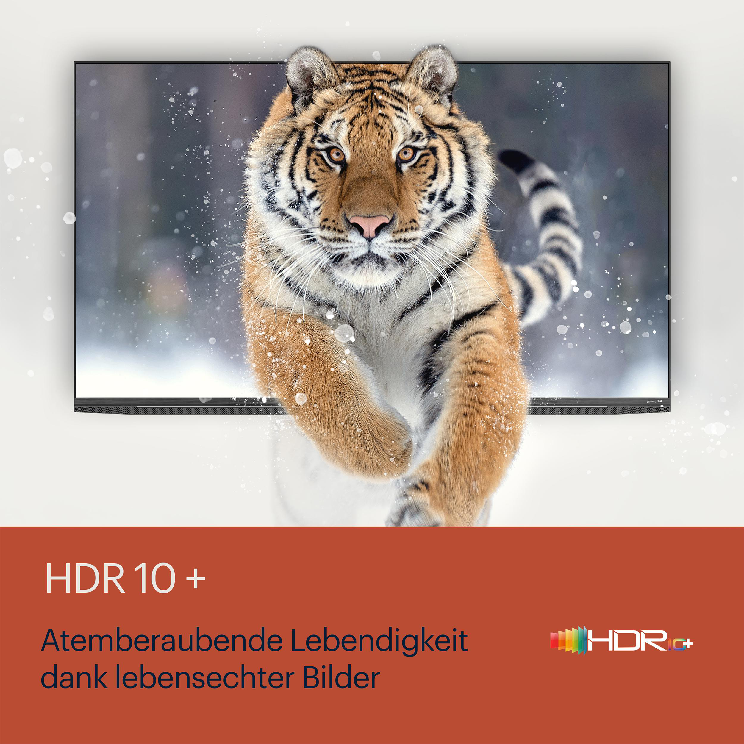 Ein Fernsehbildschirm zeigt einen springenden Tiger im Schnee. HDR10+ Logo und Text unten.