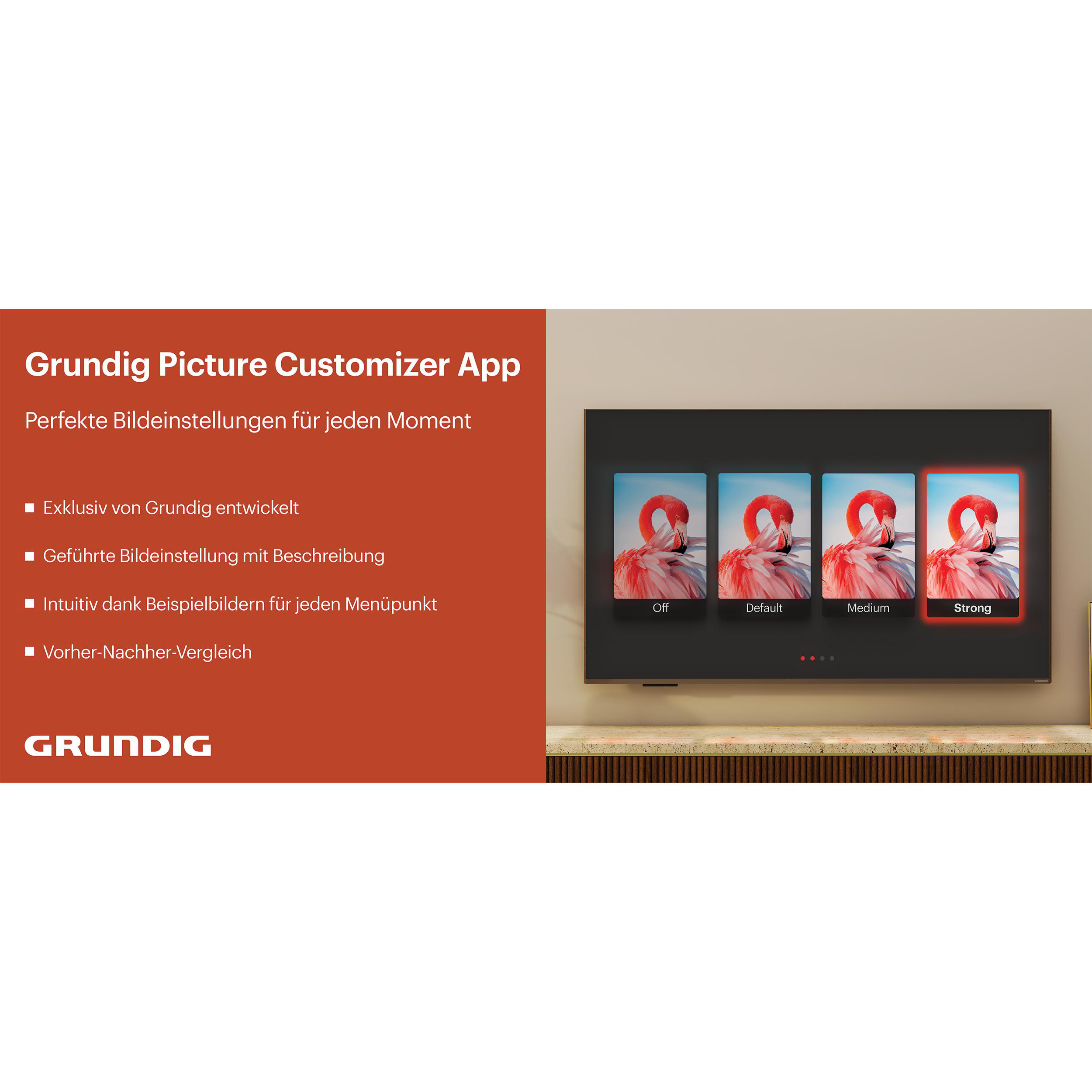 Eine Grundig Picture Customizer App-Oberfläche auf einem Fernsehbildschirm, mit Optionen und Flamingos.
