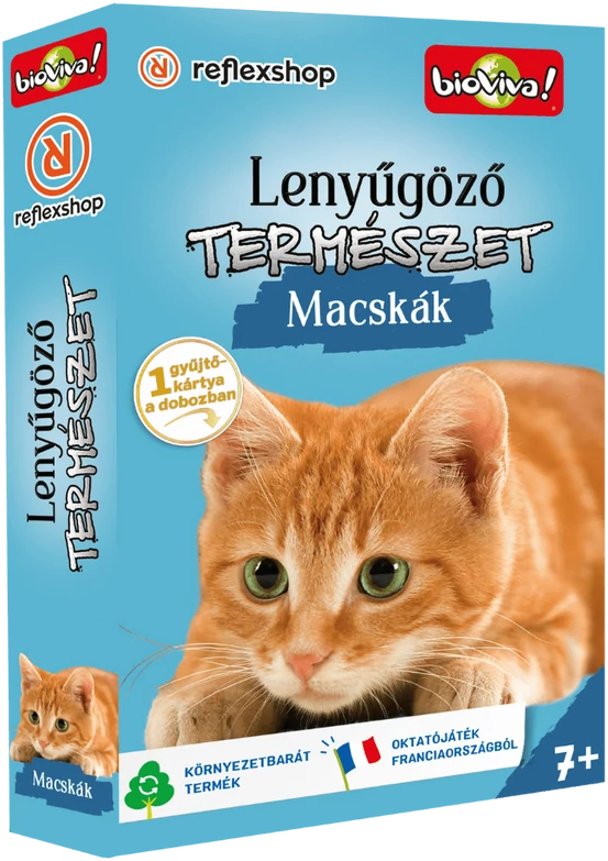 Egy macskás könyvborító egy narancssárga macskával. A borítón magyar nyelvű szöveg és francia zászlók láthatók.