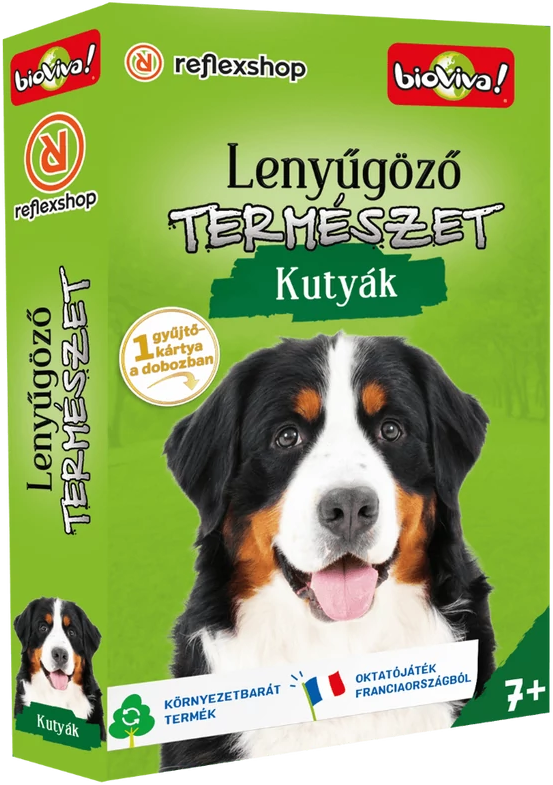 Kutyajáték doboz kutyaképpel.