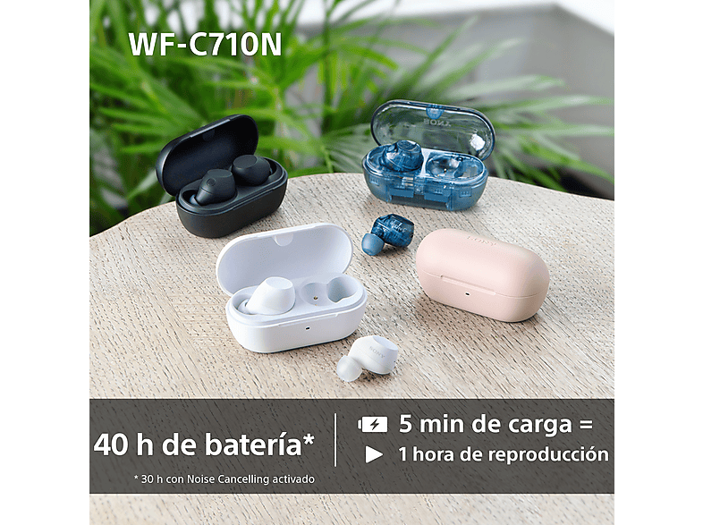 Vista 3