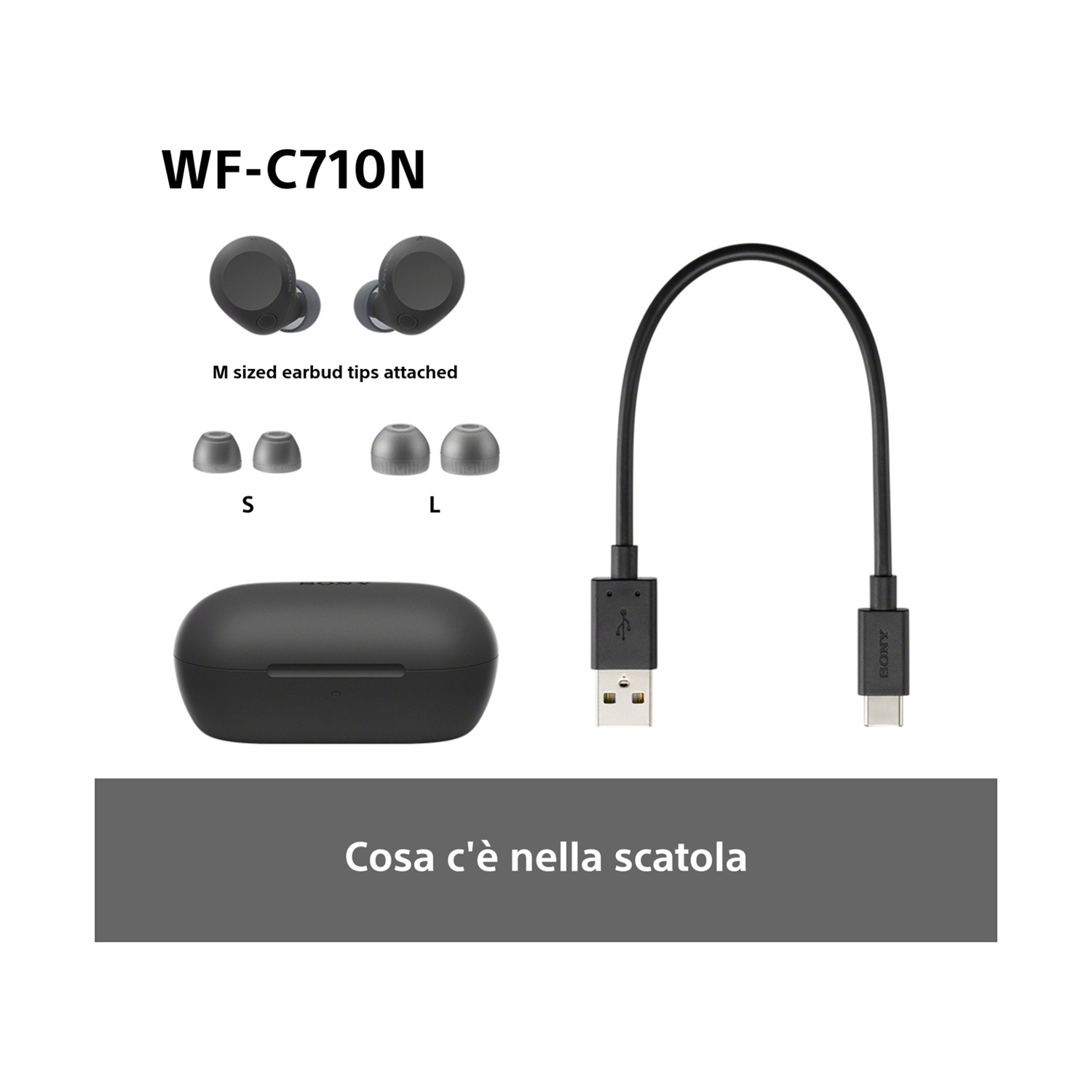 Auricolari neri con custodia di ricarica e cavo USB su sfondo bianco.