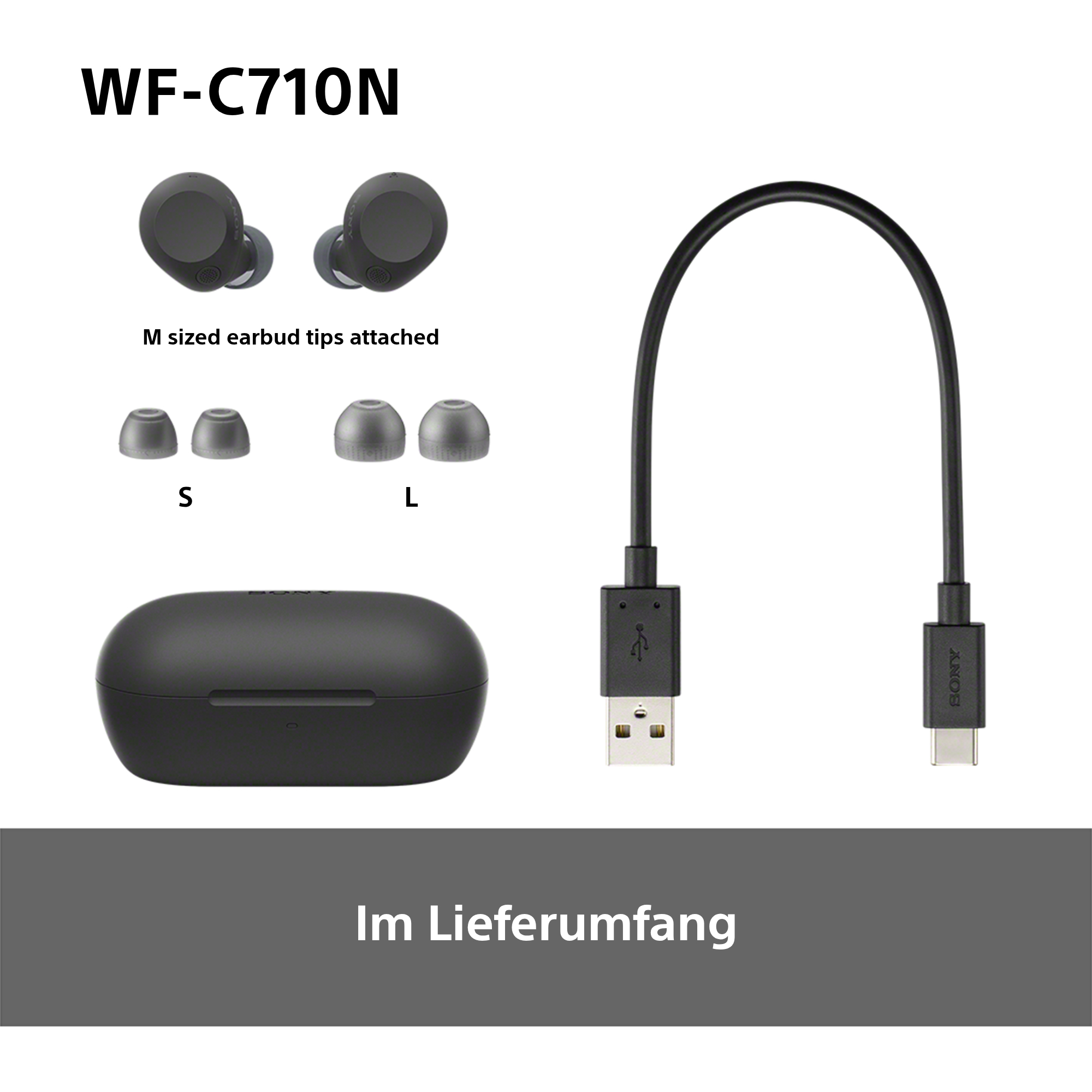 Ohrhörer mit Hülle und extra Spitzen neben einem Ladekabel.