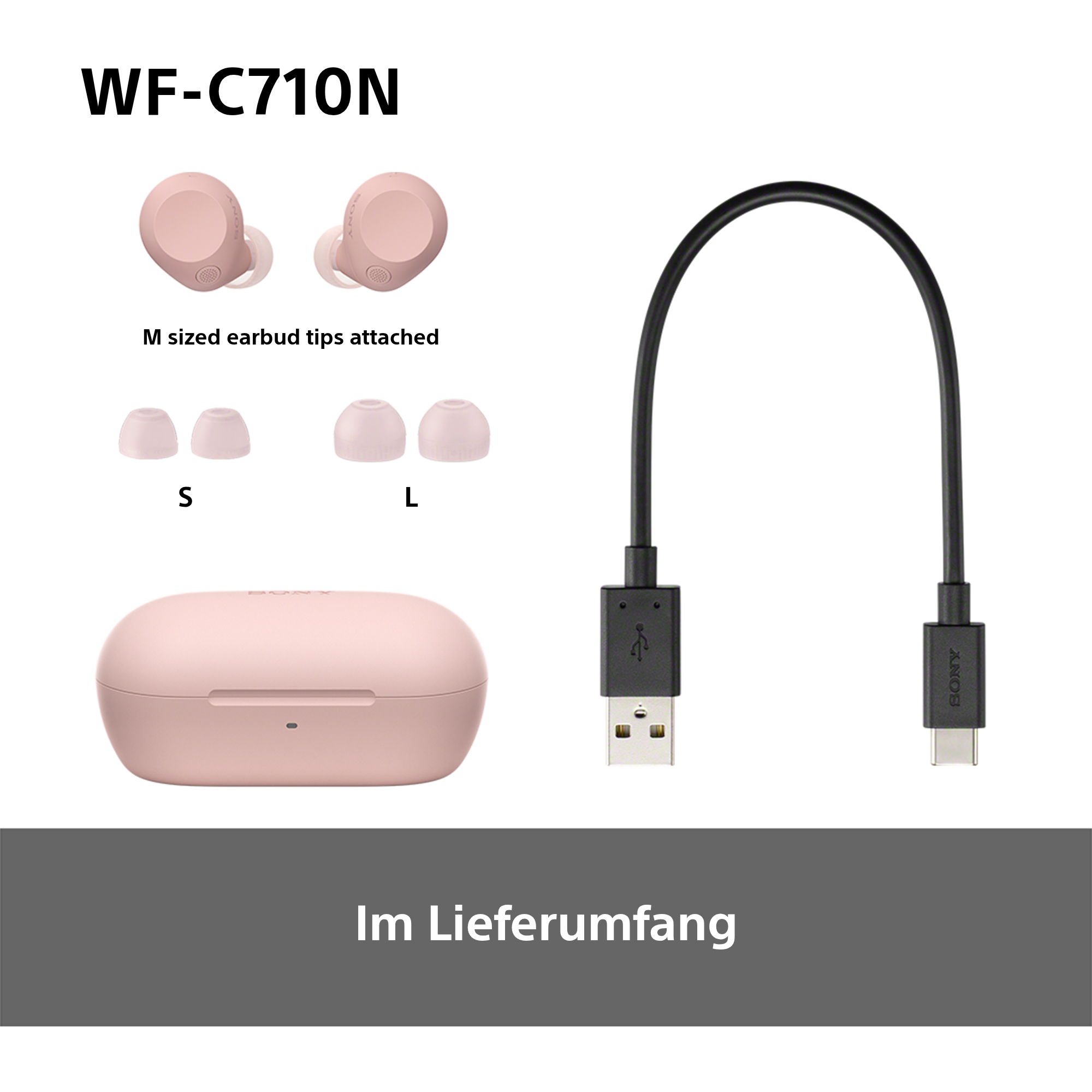 Ohrhörer mit Hülle und USB-Kabel. Die Ohrstöpsel sind in den Größen S, M und L erhältlich. Die Marke ist Sony.