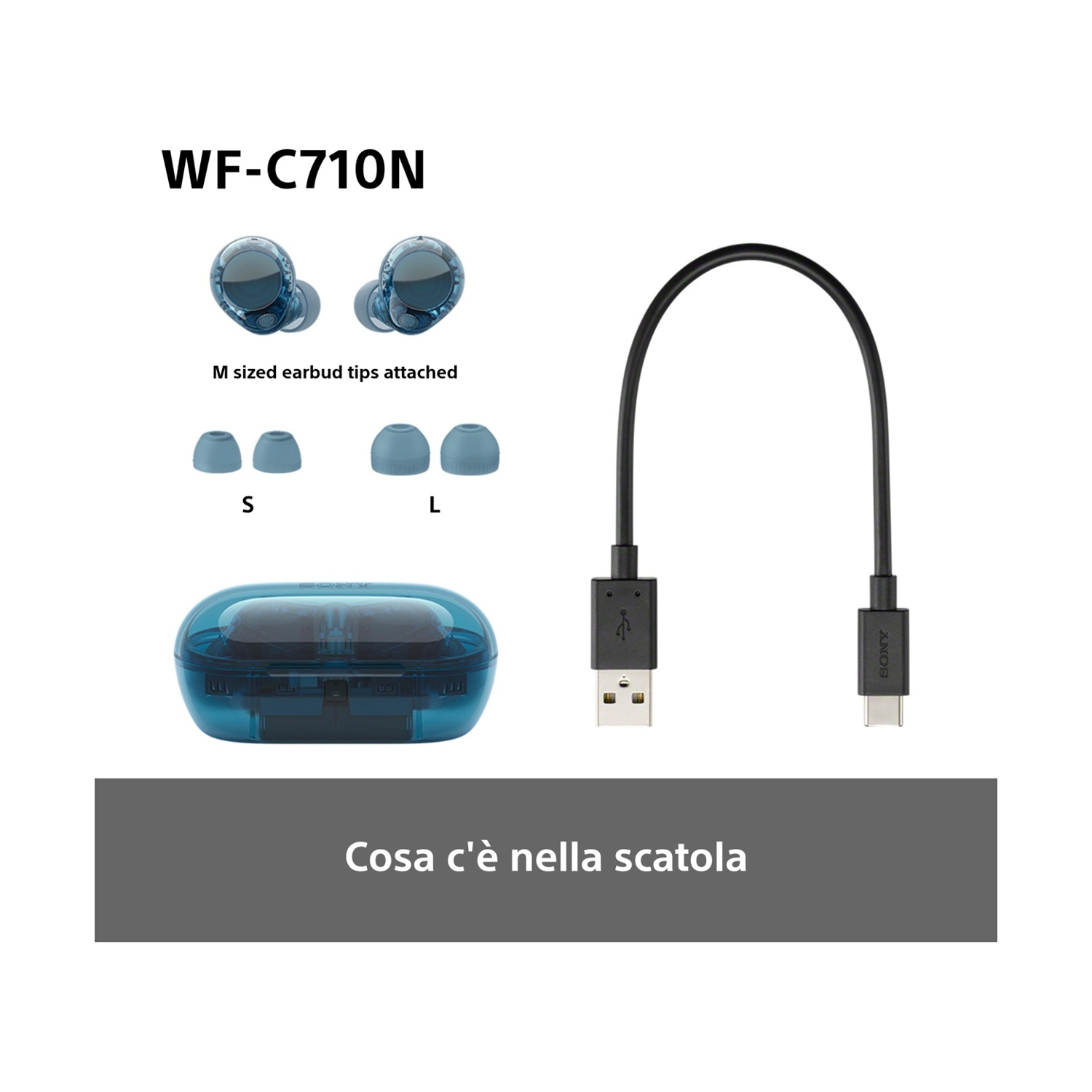 Auricolari, cavo di ricarica e gommini in una scatola, con testo 'Cosa c'è nella scatola'.
