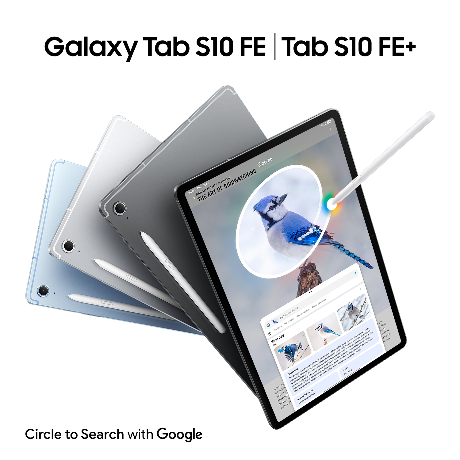 Tabletas con bolígrafos, una mostrando un sitio web de observación de aves. Texto 'Galaxy Tab S10 FE | Tab S10 FE+'.