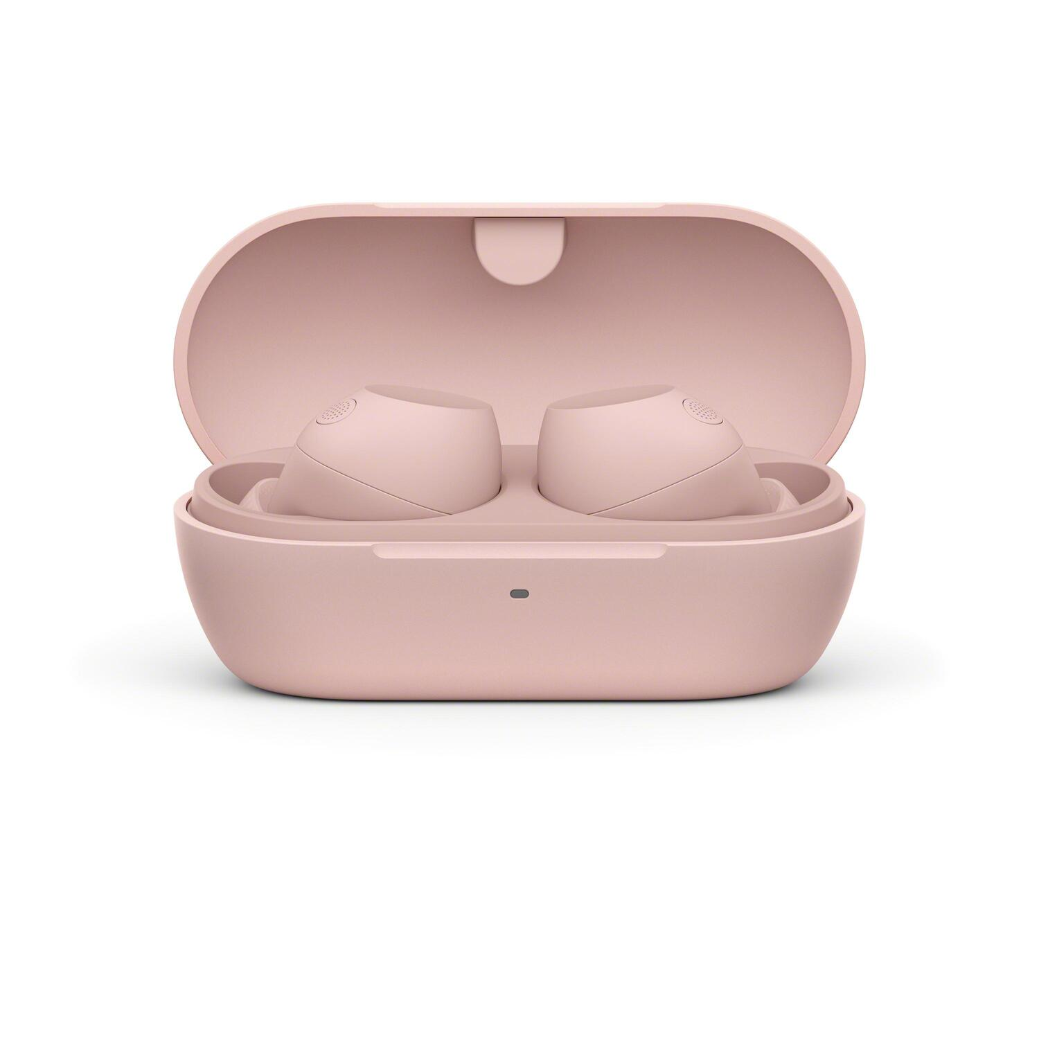 Roze oordopjes in een open roze etui, geïsoleerd op een witte achtergrond. De case is ovaal.