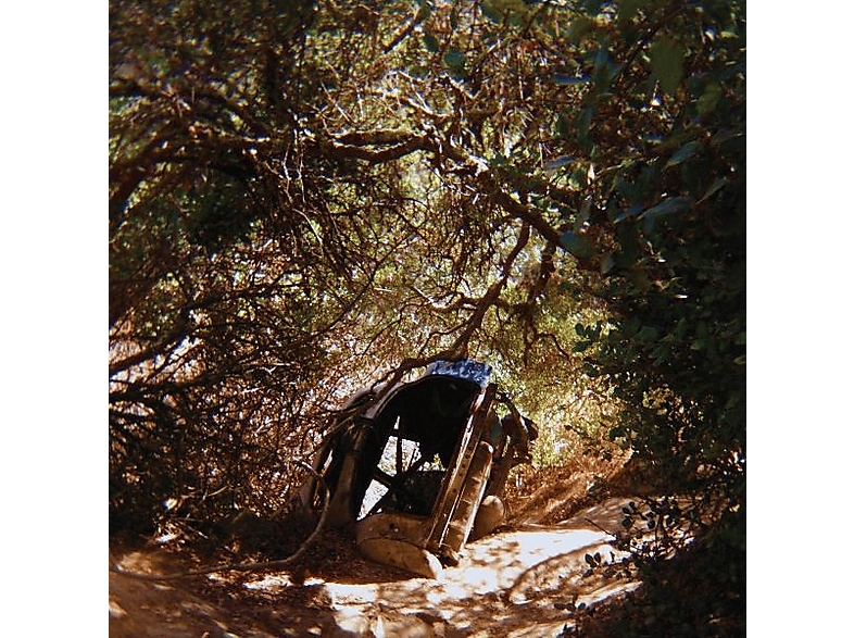 Ty Segall - POSSESSION - (CD)