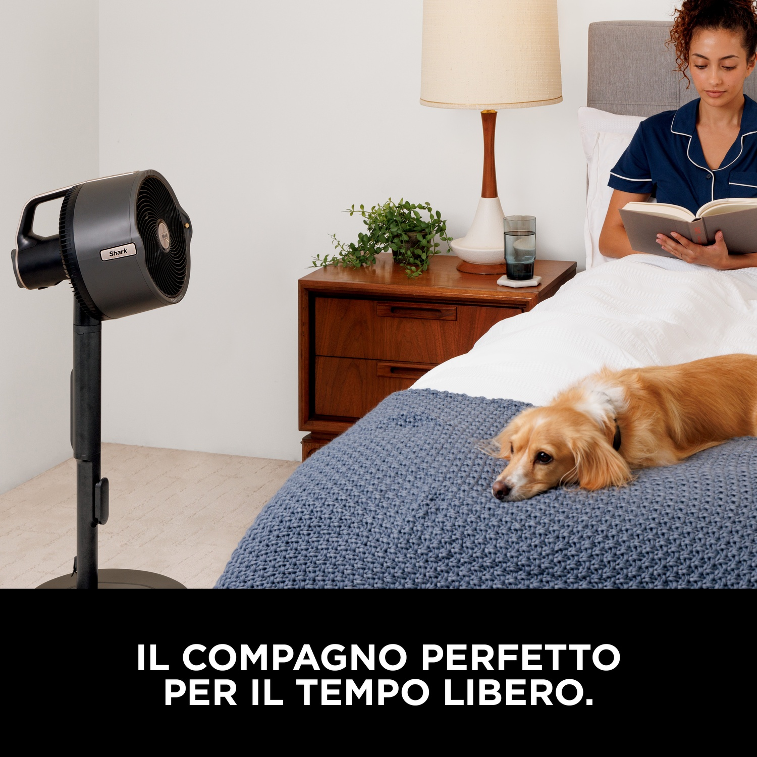 Una donna legge a letto, un ventilatore e un cane nella stanza. Testo in italiano.