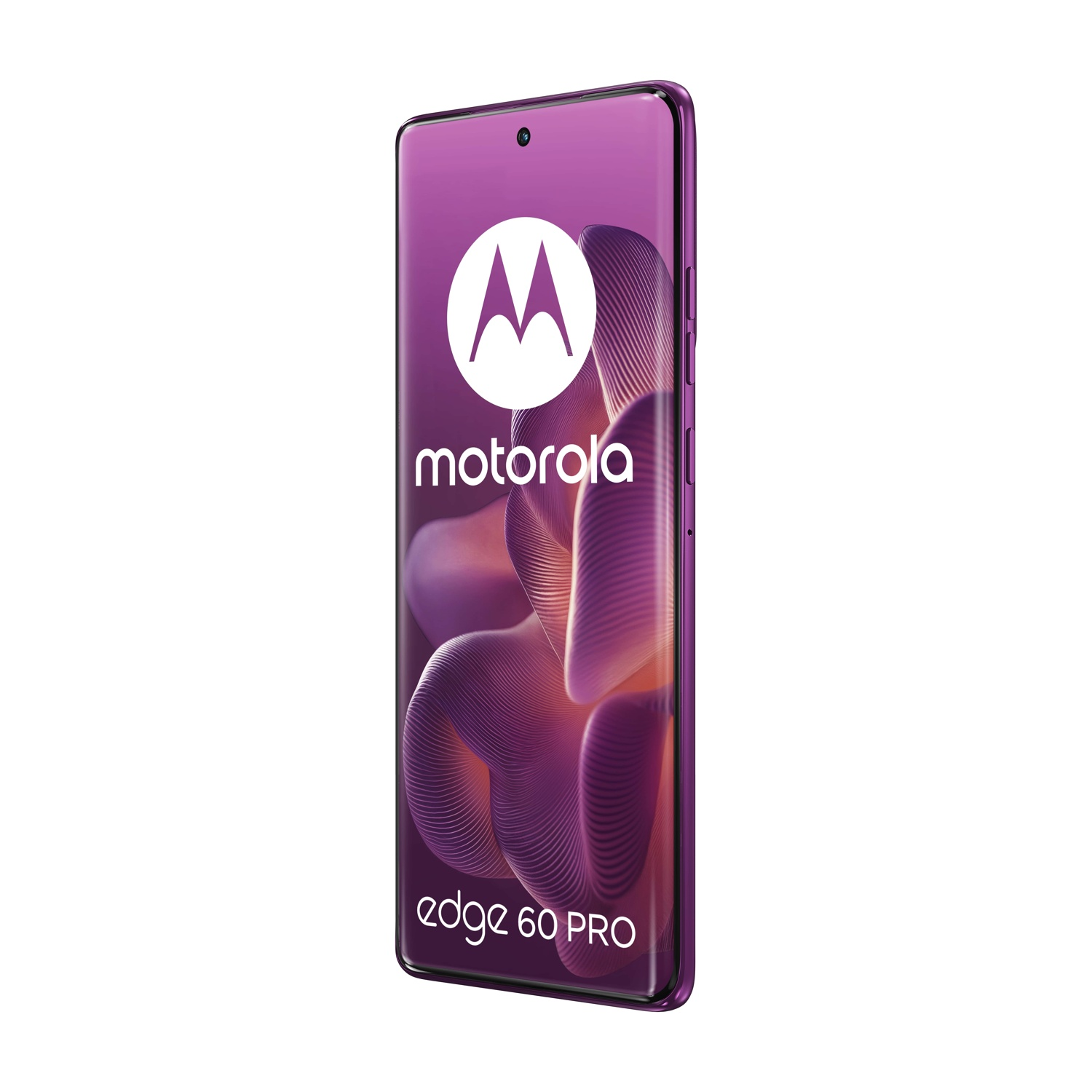 Smartphone Motorola Edge 60 Pro viola, vista angolata, sfondo bianco.