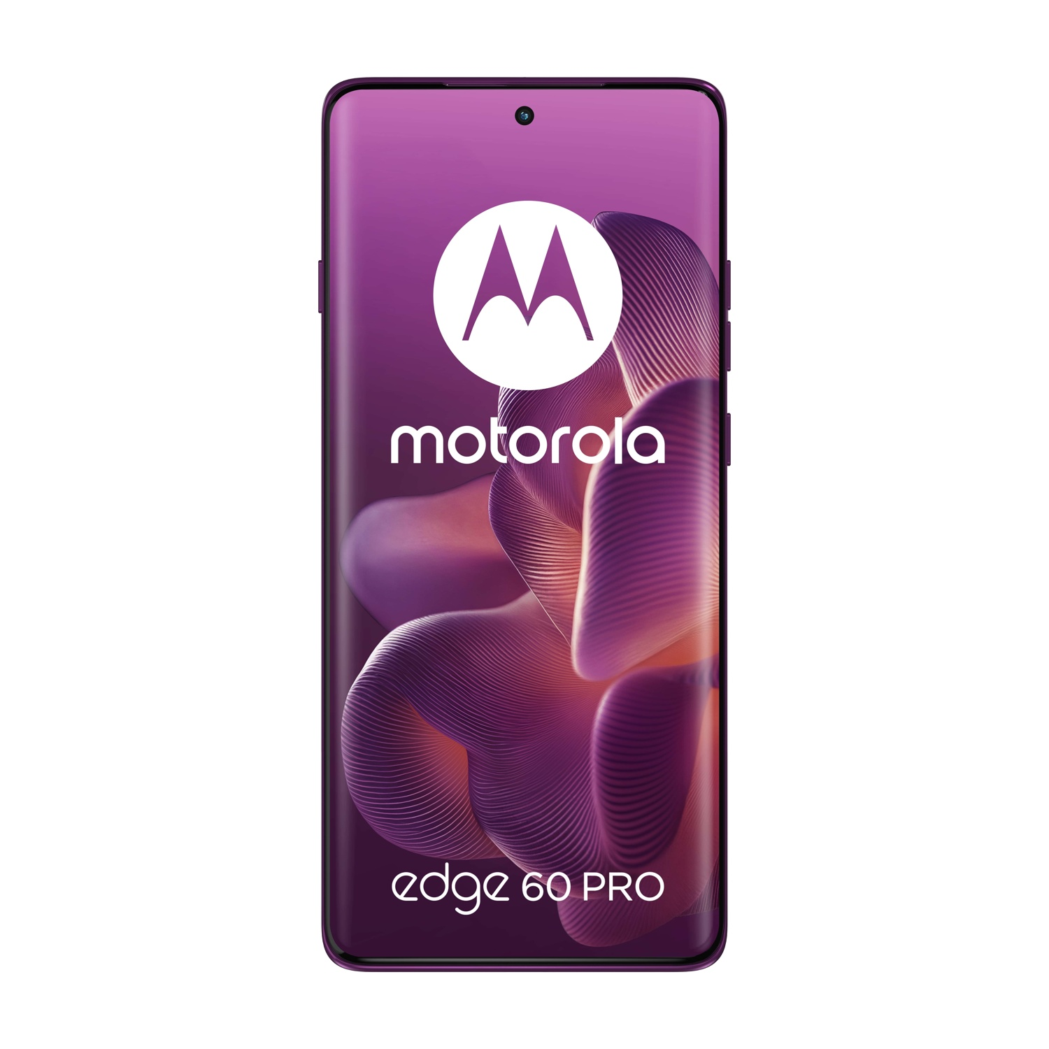 Schermo dello smartphone che mostra una sfumatura viola e il logo Motorola. Cornice del telefono viola.