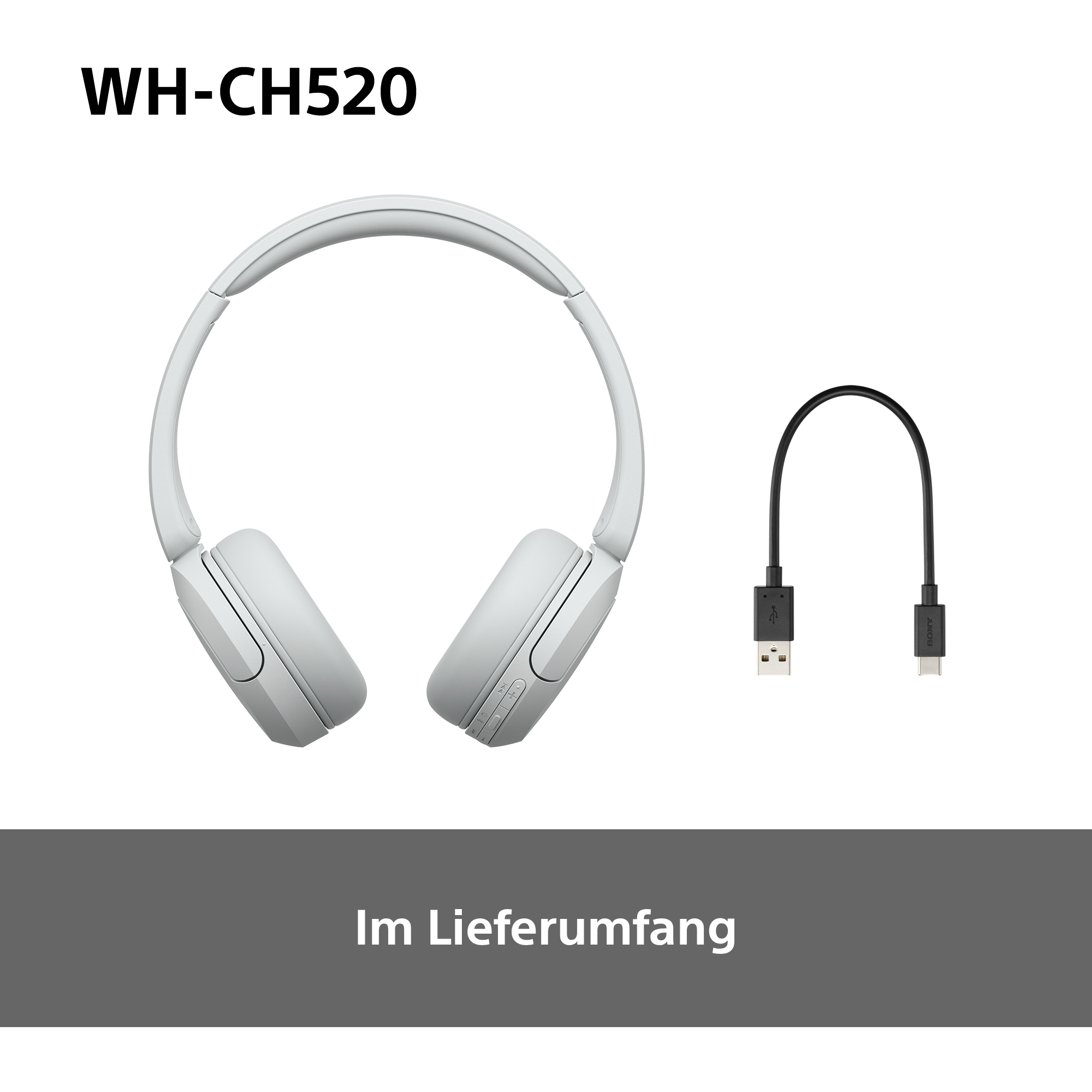 Graue Kopfhörer und ein USB-Kabel. Text: WH-CH520. Im Lieferumfang.
