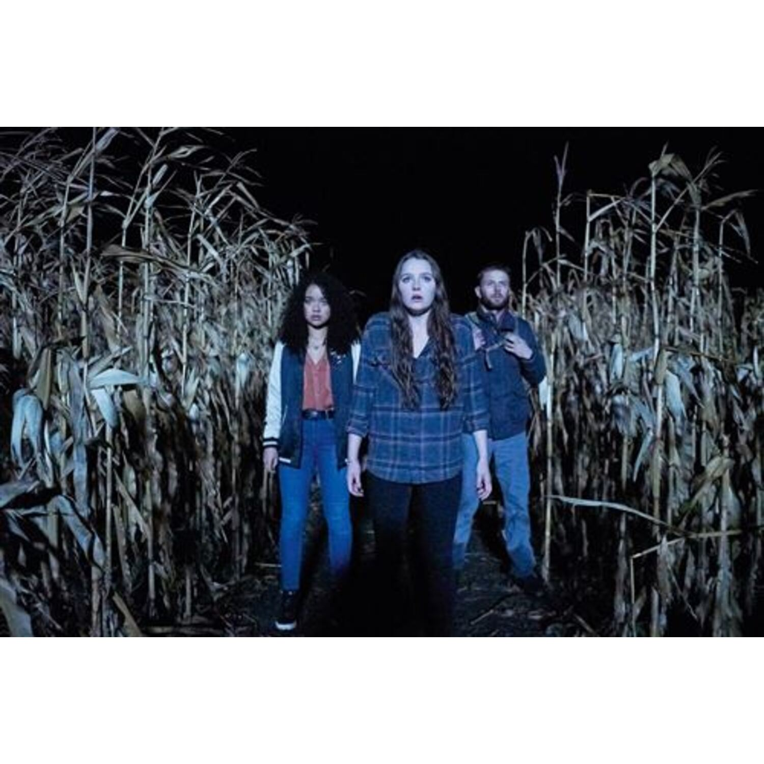 Three people in a cornfield at night. One in the middle looking scared, dark scene.