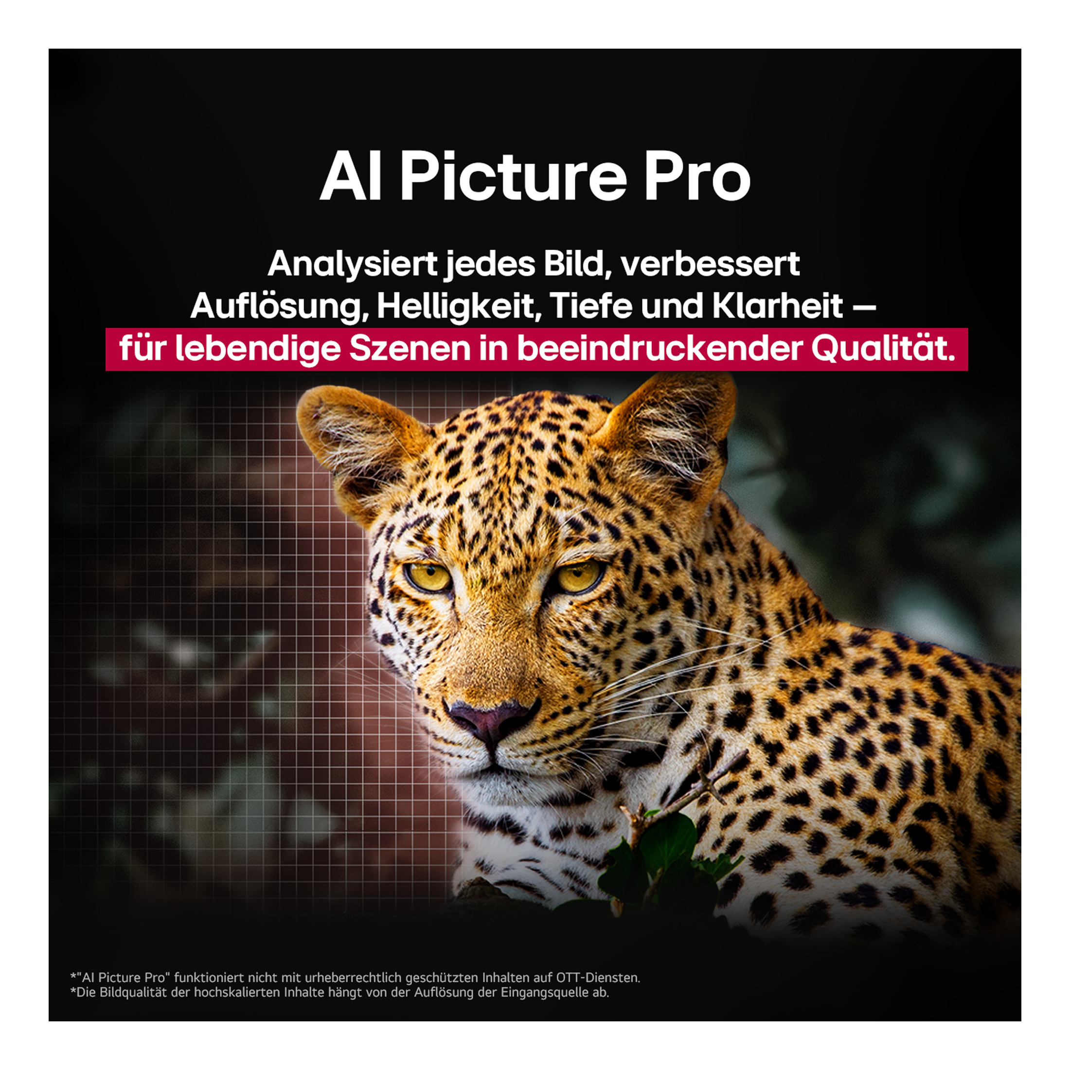 Ein Leopardengesicht im Fokus mit Raster im Hintergrund und Text.