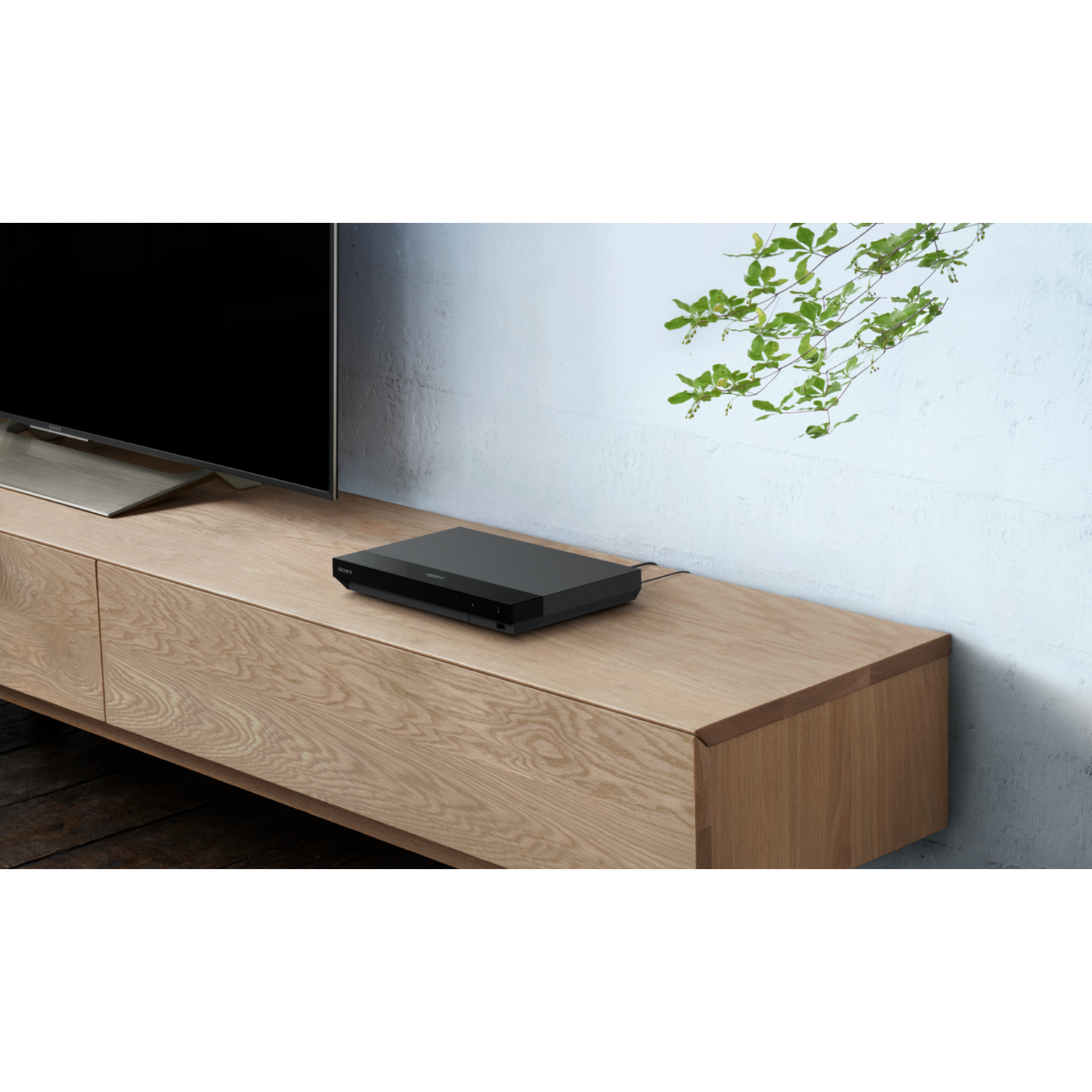 A black media player sits on a wooden cabinet. A TV is visible on the left, and a plant is on the right.