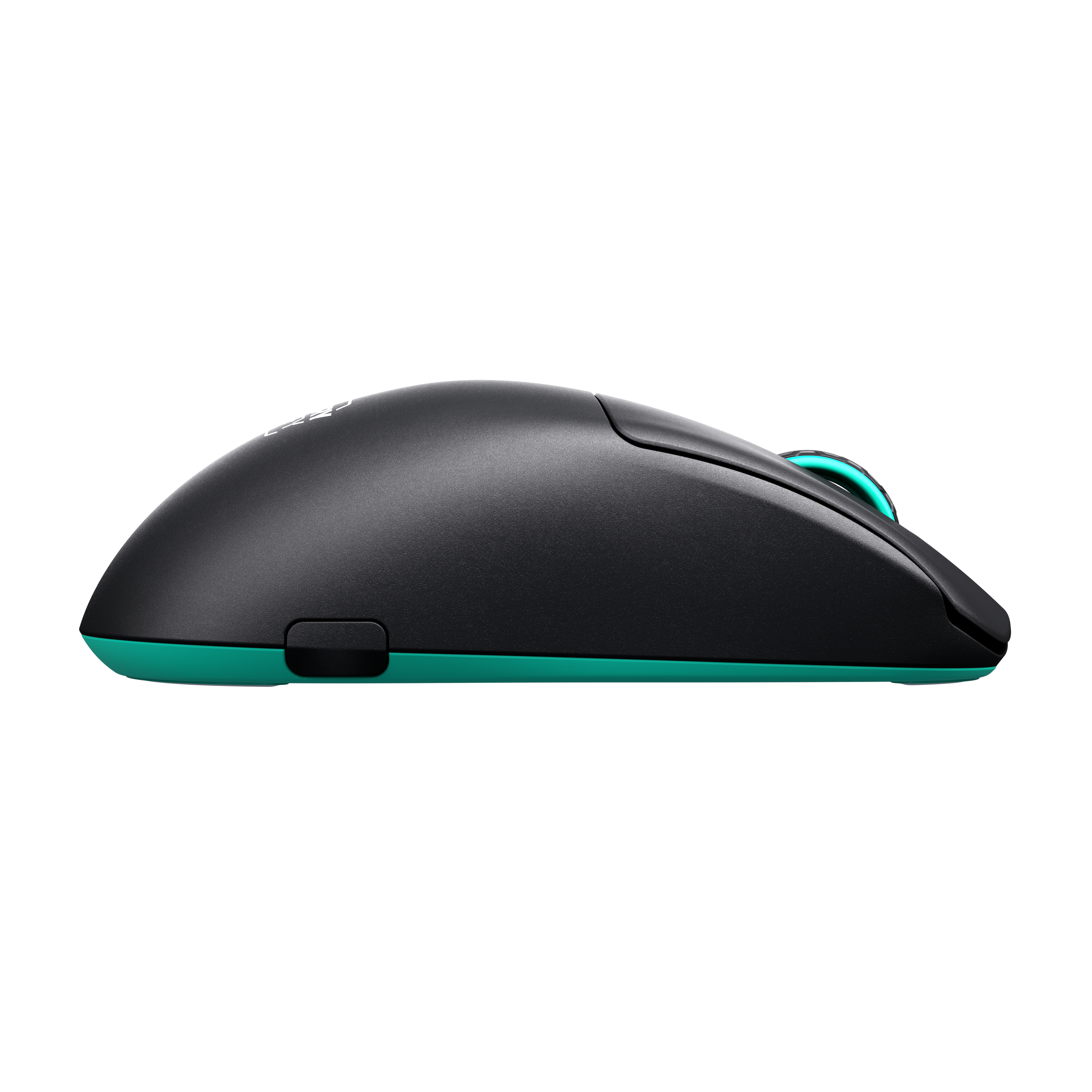 Seitenansicht einer schwarzen und tealfarbenen Maus. Die Maus hat ein geschwungenes Design.