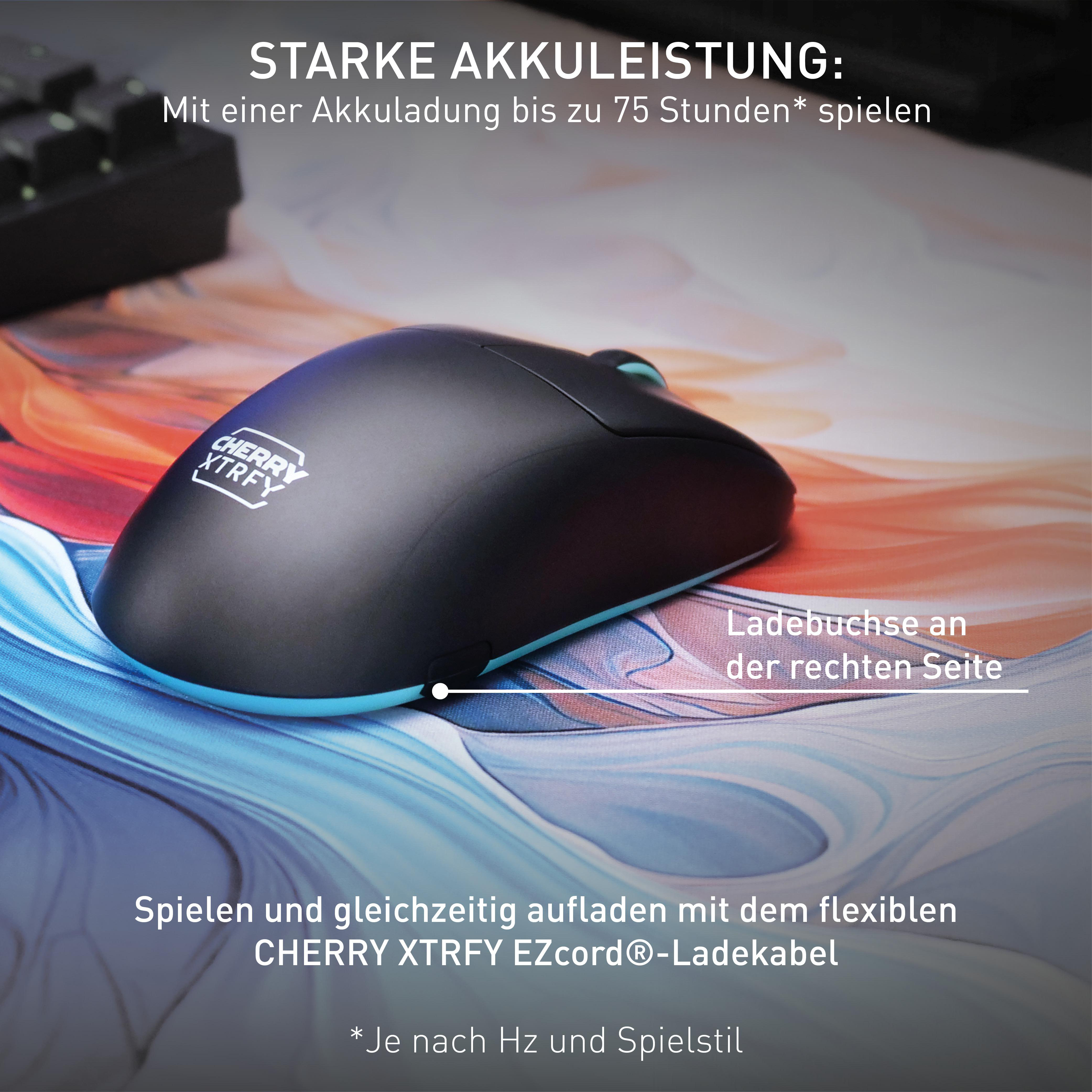 Eine schwarze Gaming-Maus mit einer blauen Seite.