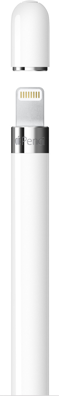 Fehér Apple Pencil sapka nélkül, a töltőcsatlakozót mutatja. Fehér háttér.