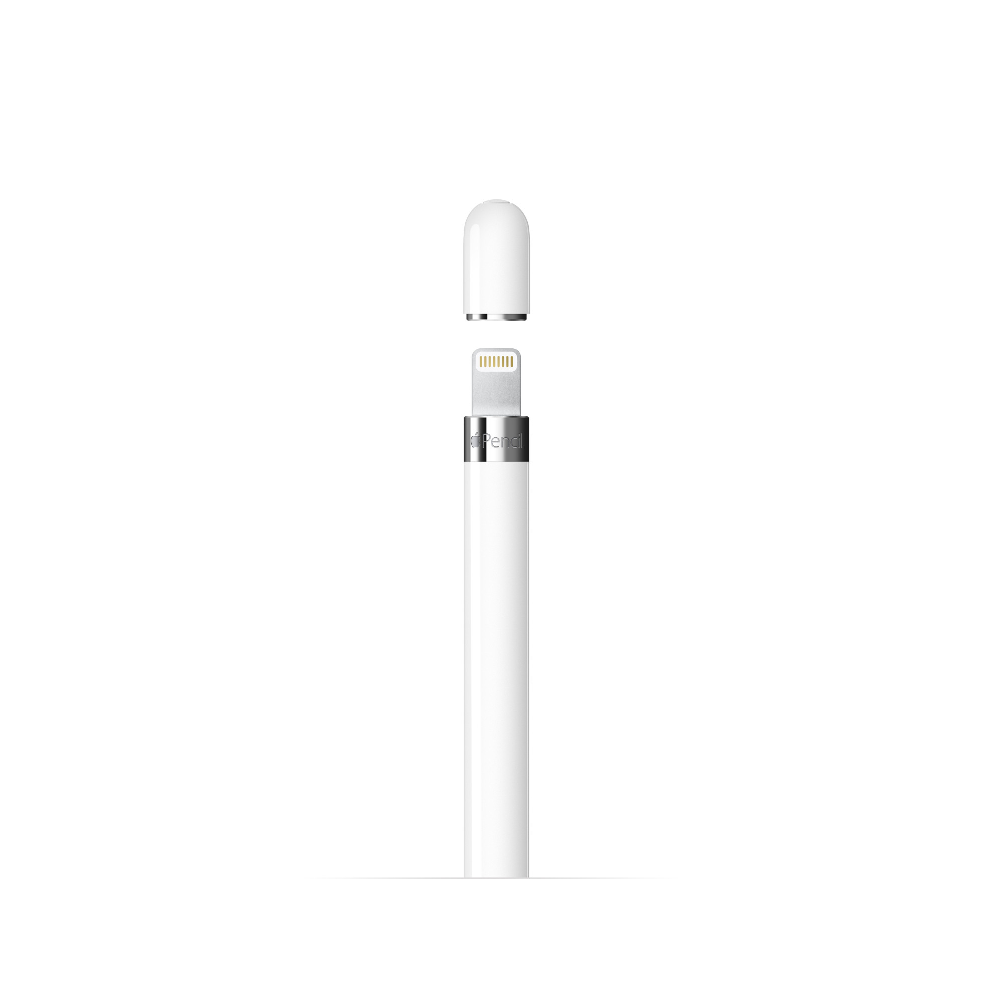 Kapağı çıkarılmış beyaz Apple Pencil, şarj portunu gösteriyor.