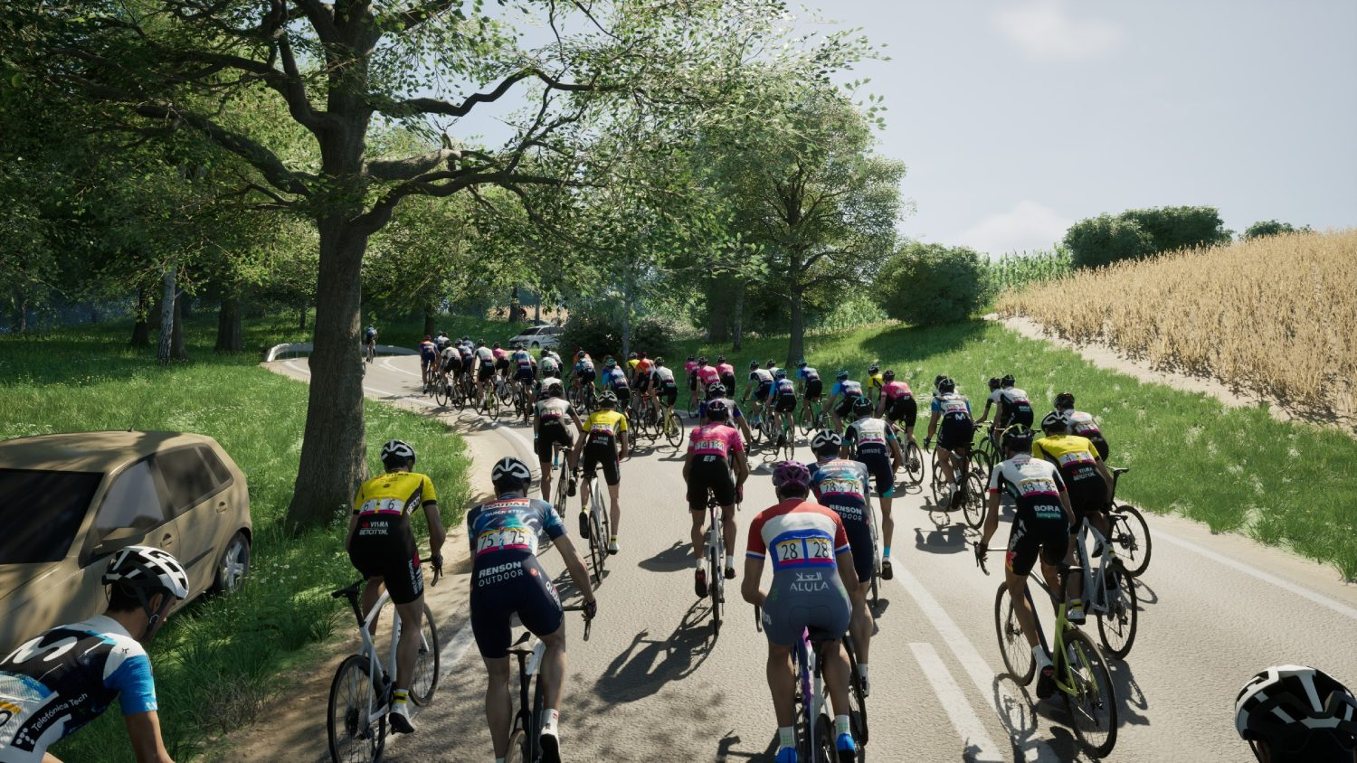 Grupo de ciclistas en una carretera, árboles y un coche al fondo.