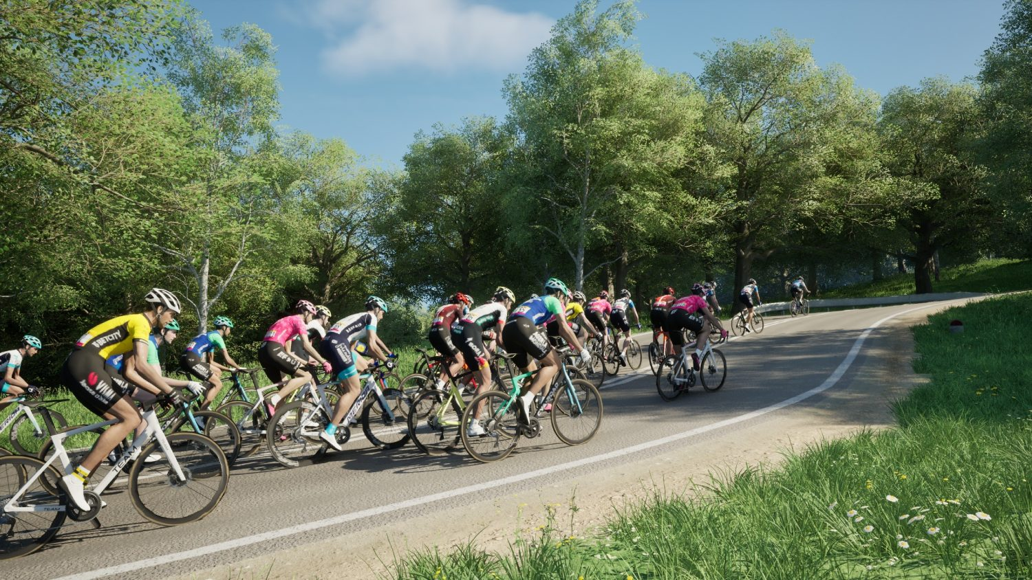 Ciclistas montando en una carretera a través de un paisaje verde con árboles y cielo azul.