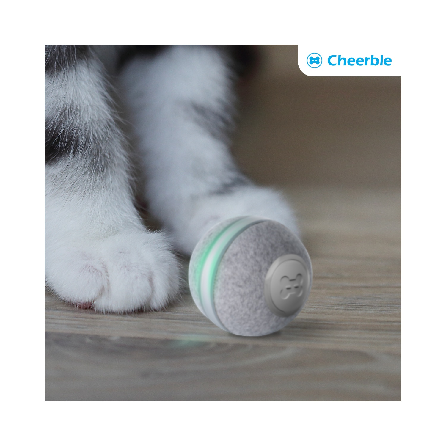 A cat's paw next to a cat toy ball with green stripes on a wooden surface.