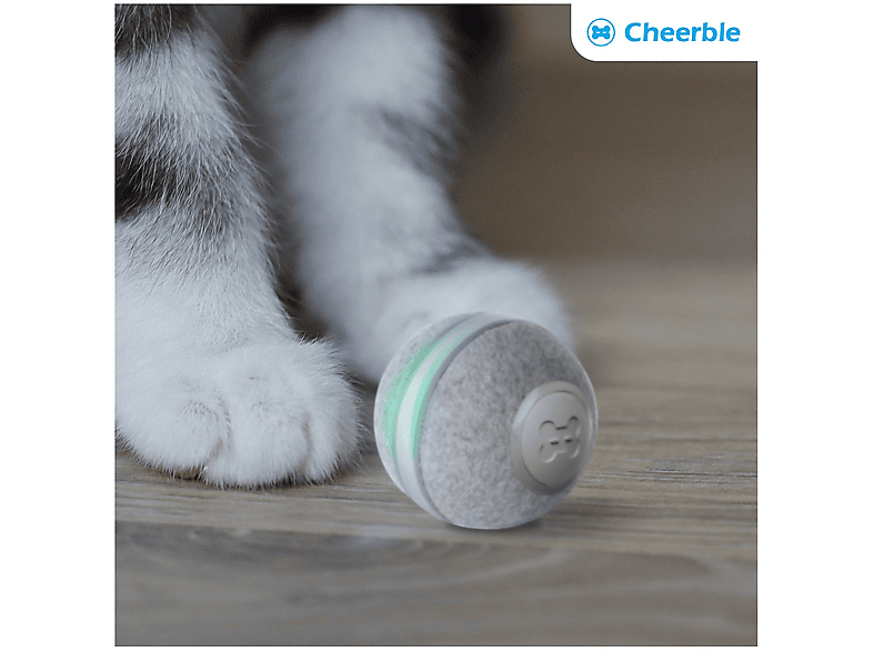 Cheerble Ball M1, Grau, Interaktives Katzenspielzeug — Foto 4 von 5