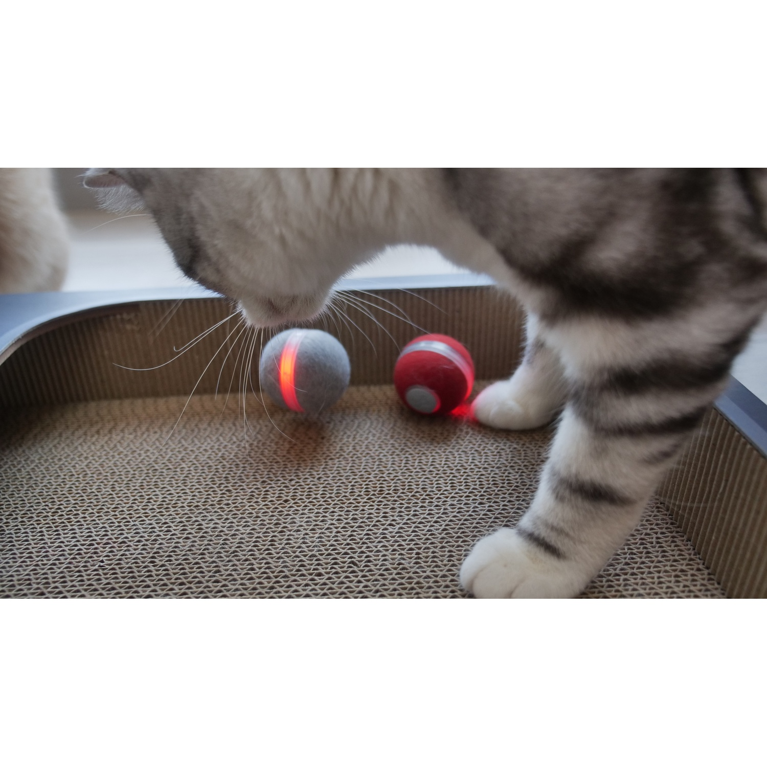Cat sniffing two light-up cat toys on a cardboard scratching surface. One red, one gray.