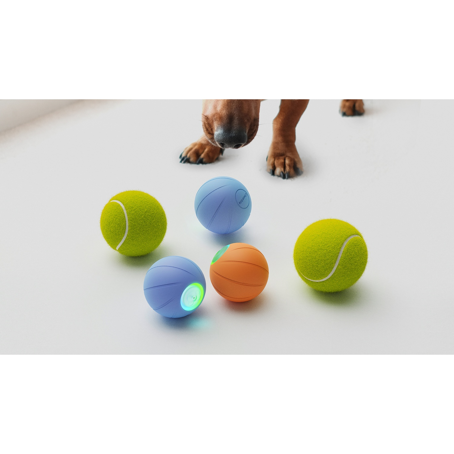 Dog paws in background, four colorful balls in foreground. Two tennis balls and two glowing balls.