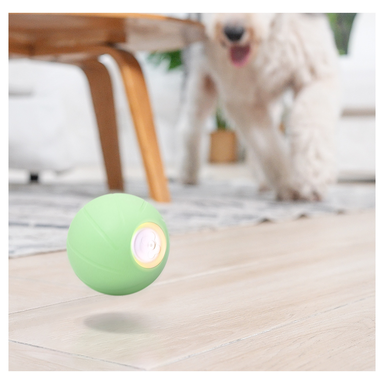 Balle verte et lumineuse en l'air. Un chien flou en arrière-plan, près d'une table en bois.