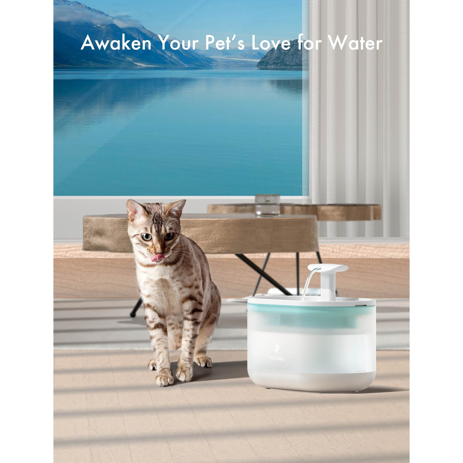 A cat drinking from a pet fountain with a natural background. The water fountain has a light blue top.