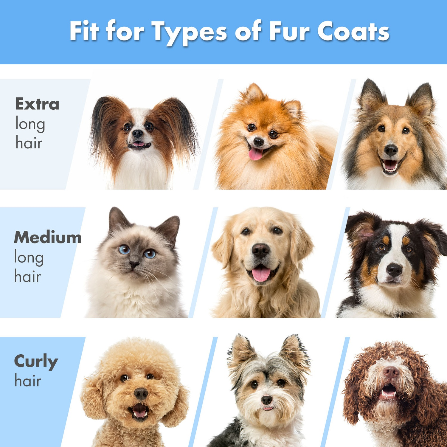 Images of different dog breeds with descriptions of fur types: long, medium, and curly hair.