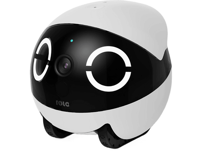 Enabot Rola Mini Robot Compagnon pour Animaux