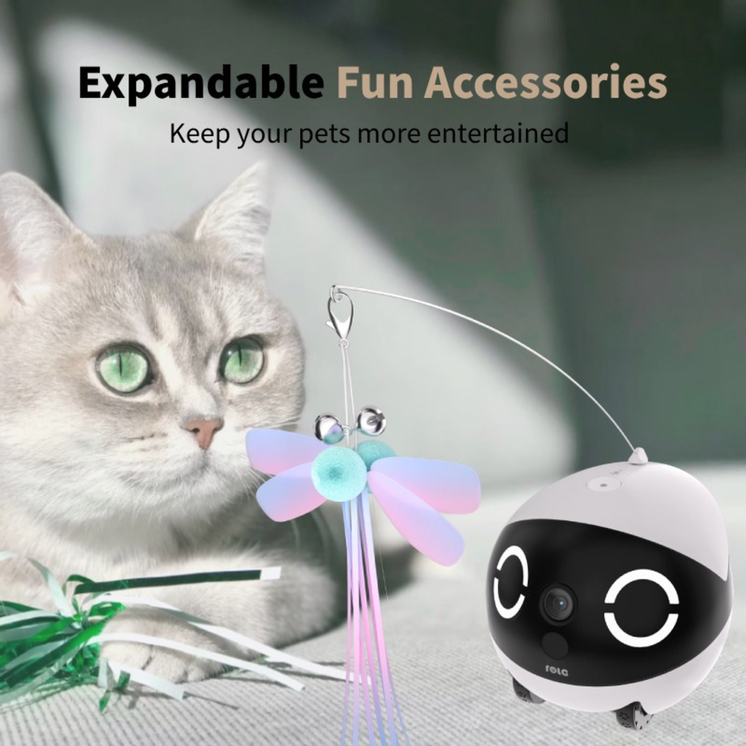 A cat watches a toy robot with a colorful dragonfly.
