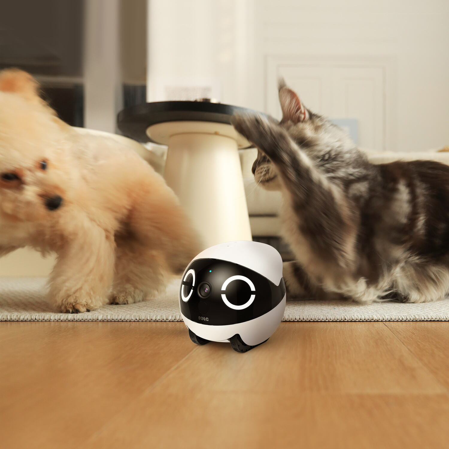 A robot toy faces a dog and a cat. The cat is about to paw the robot.