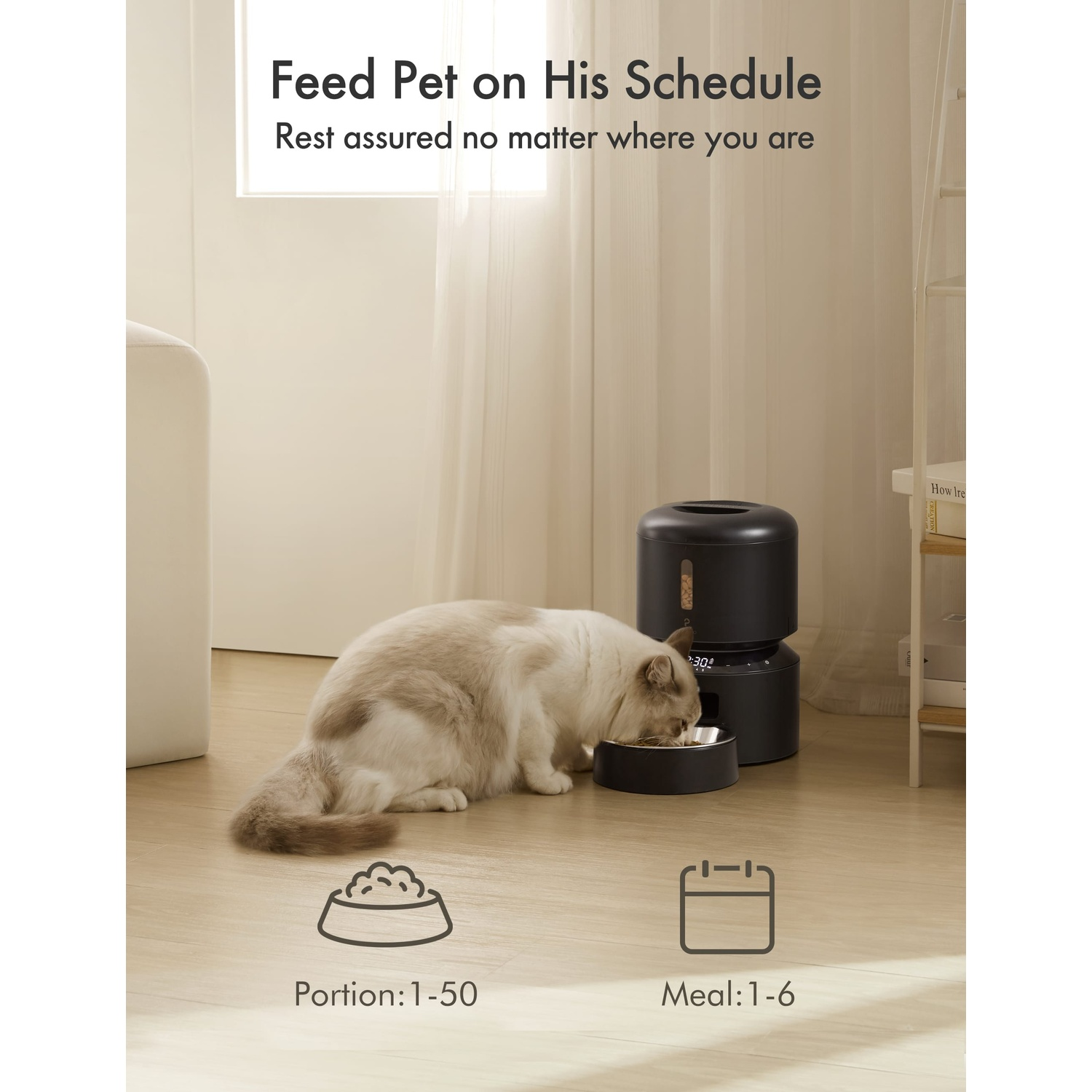 A cat eats from a bowl. The feeder is black. Text above reads 'Feed Pet on His Schedule'.